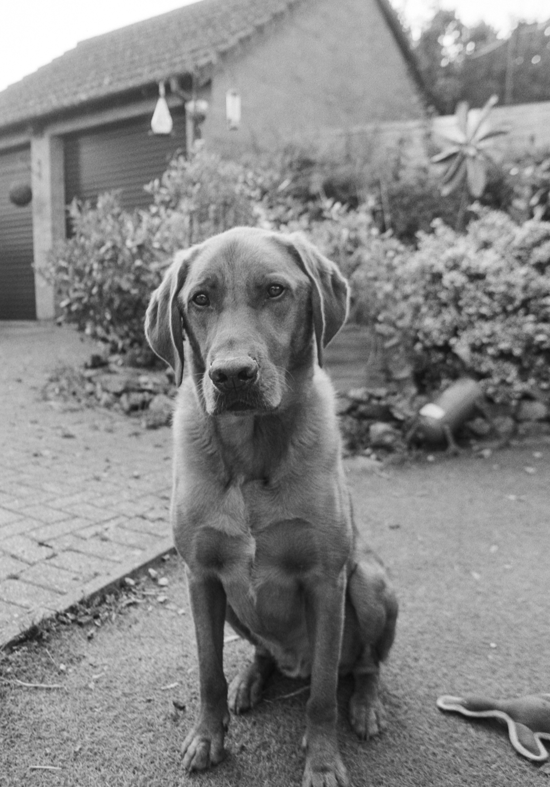 Canon EOS 3 - Ilford FP4+ - 125