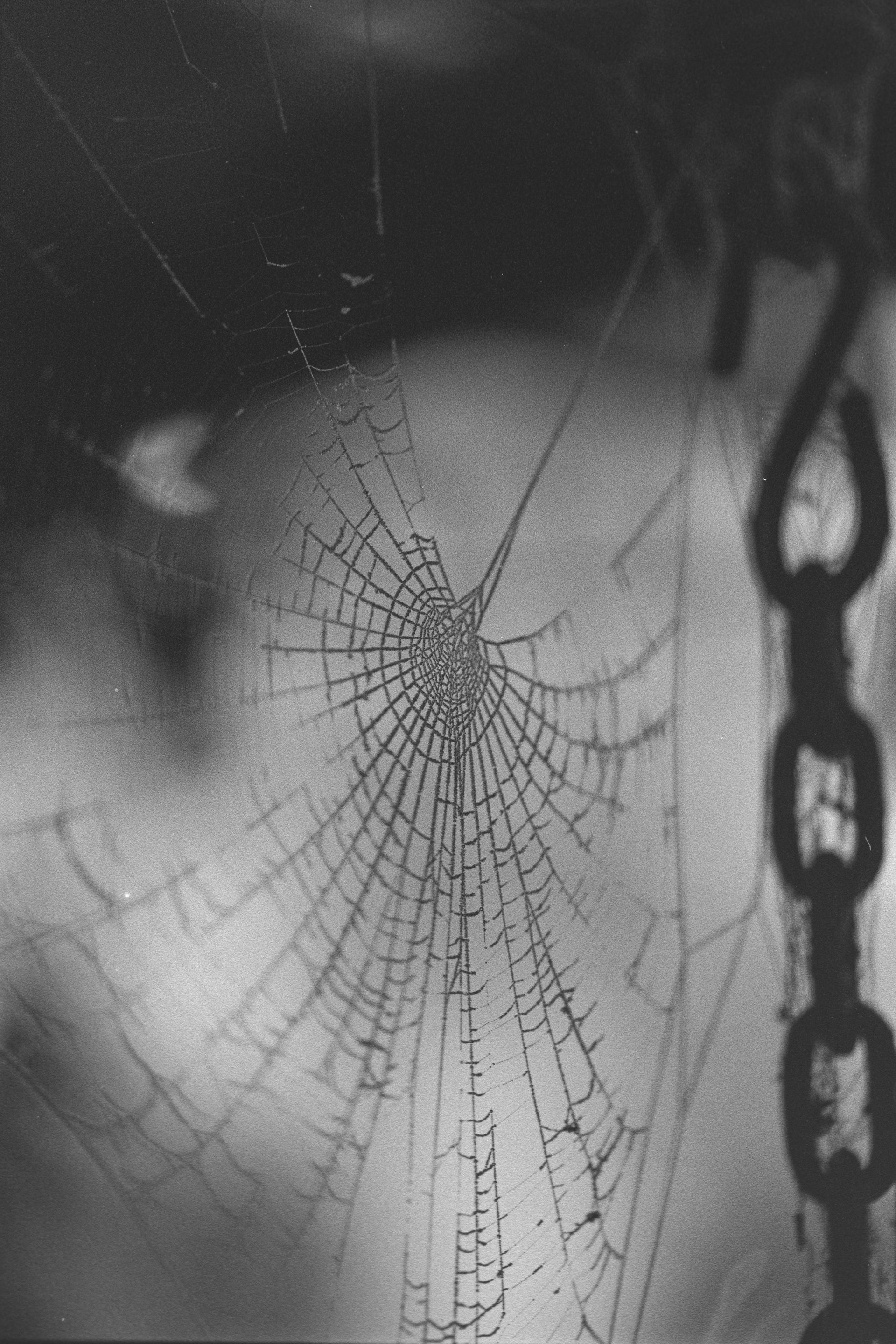 Canon EOS 3 - Kentmere pan - 400