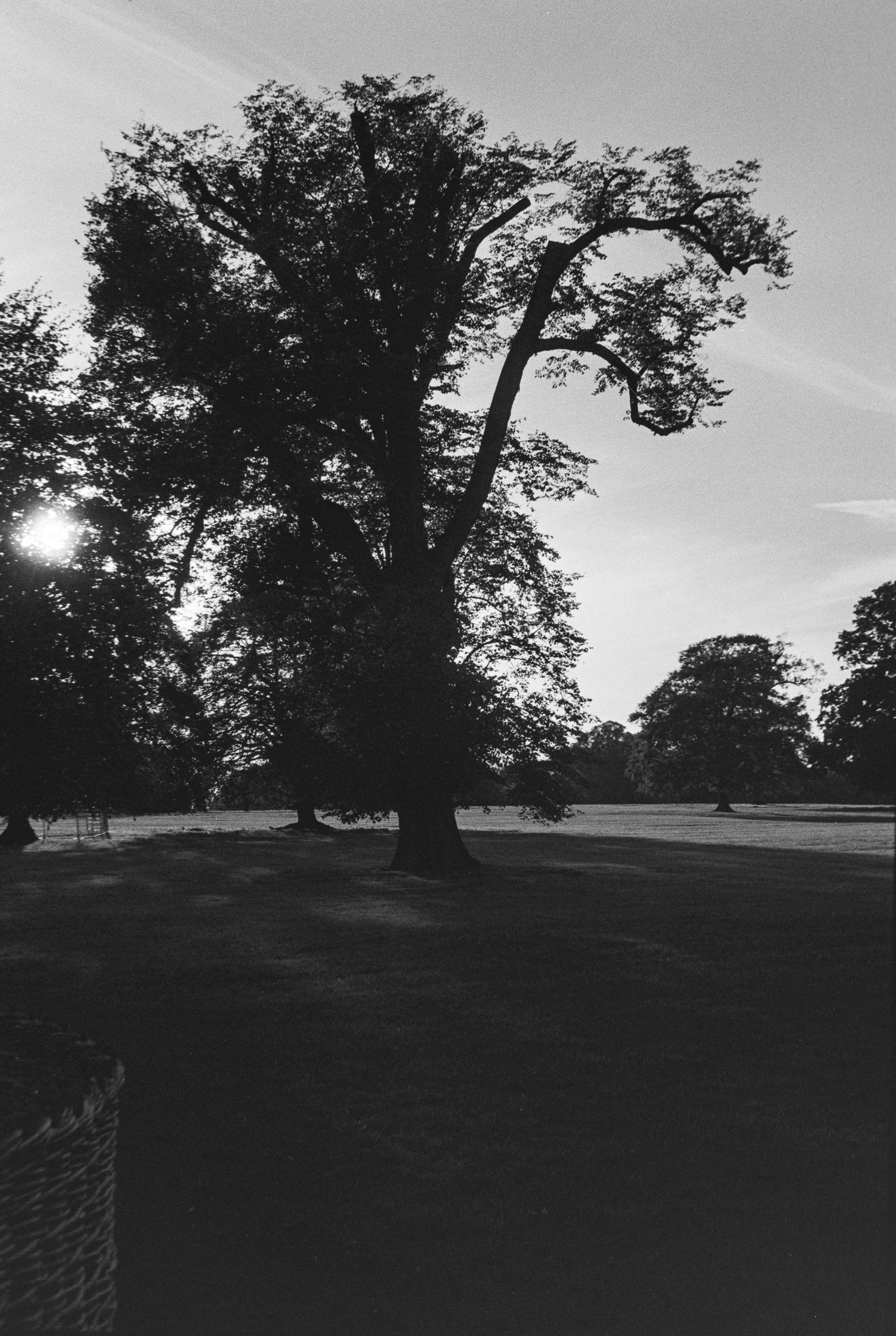 Canon EOS 3 - Kentmere pan - 400
