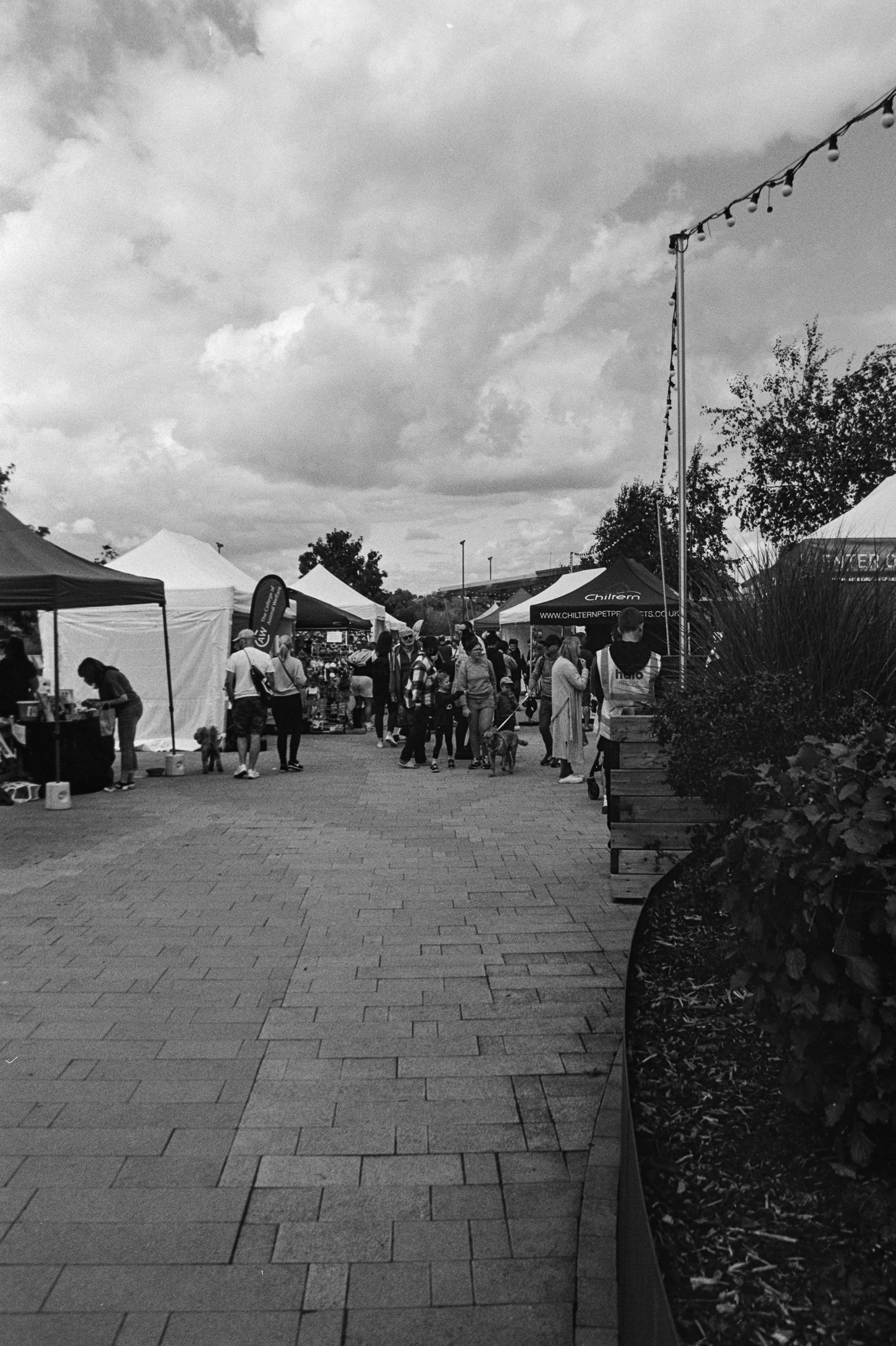 Canon AV-1 - Ilford FP4+ - 125
