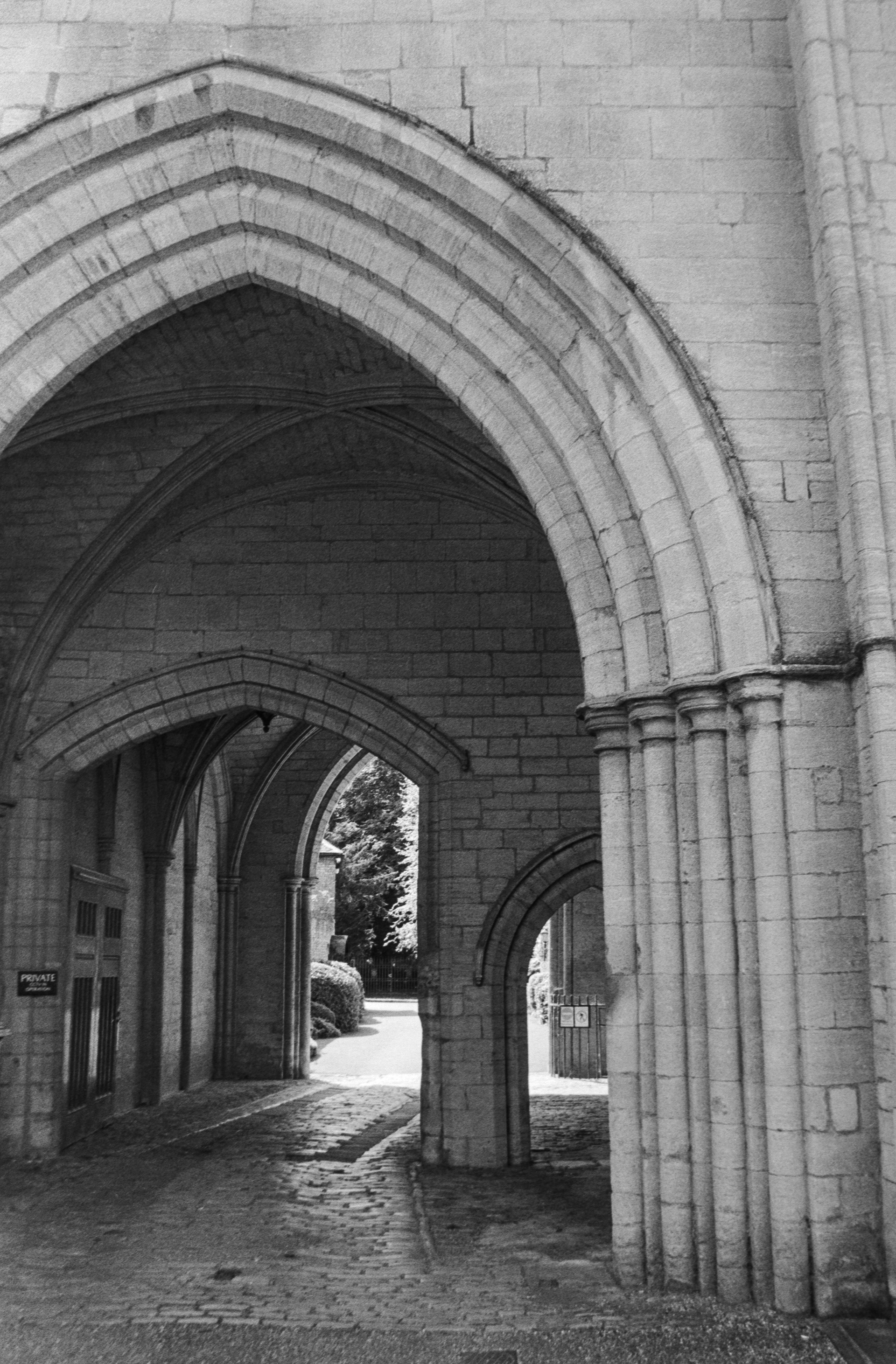 Canon EOS 3 - Kentmere pan - 400