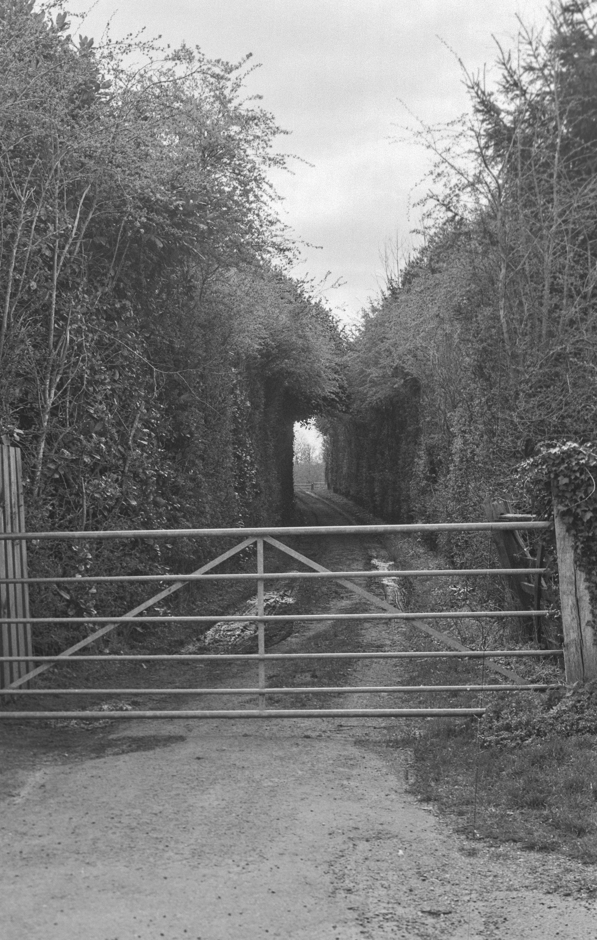Canon AV-1 - Ilford FP4+ - 125