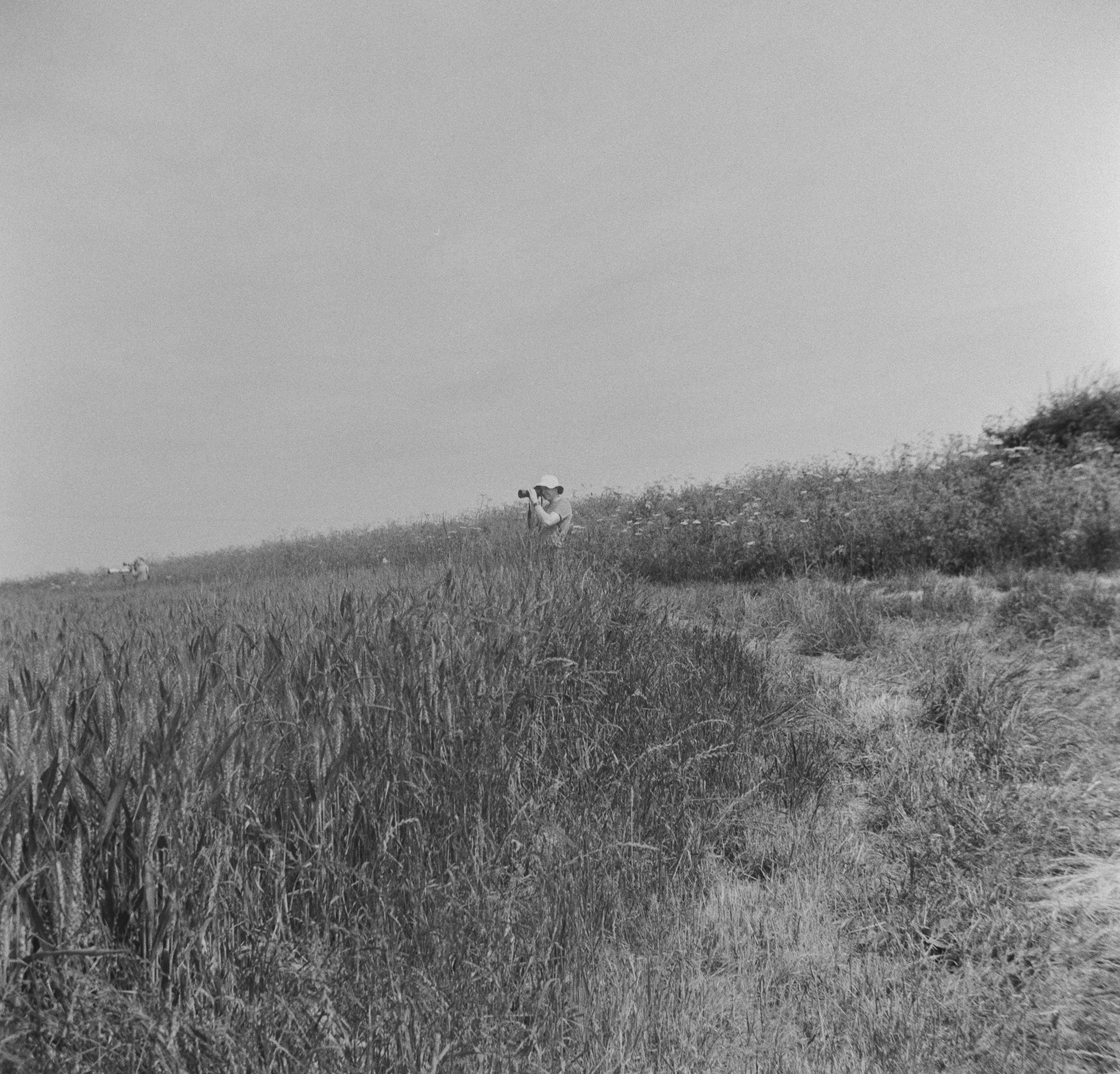Halina A1 - Fomapan - 400