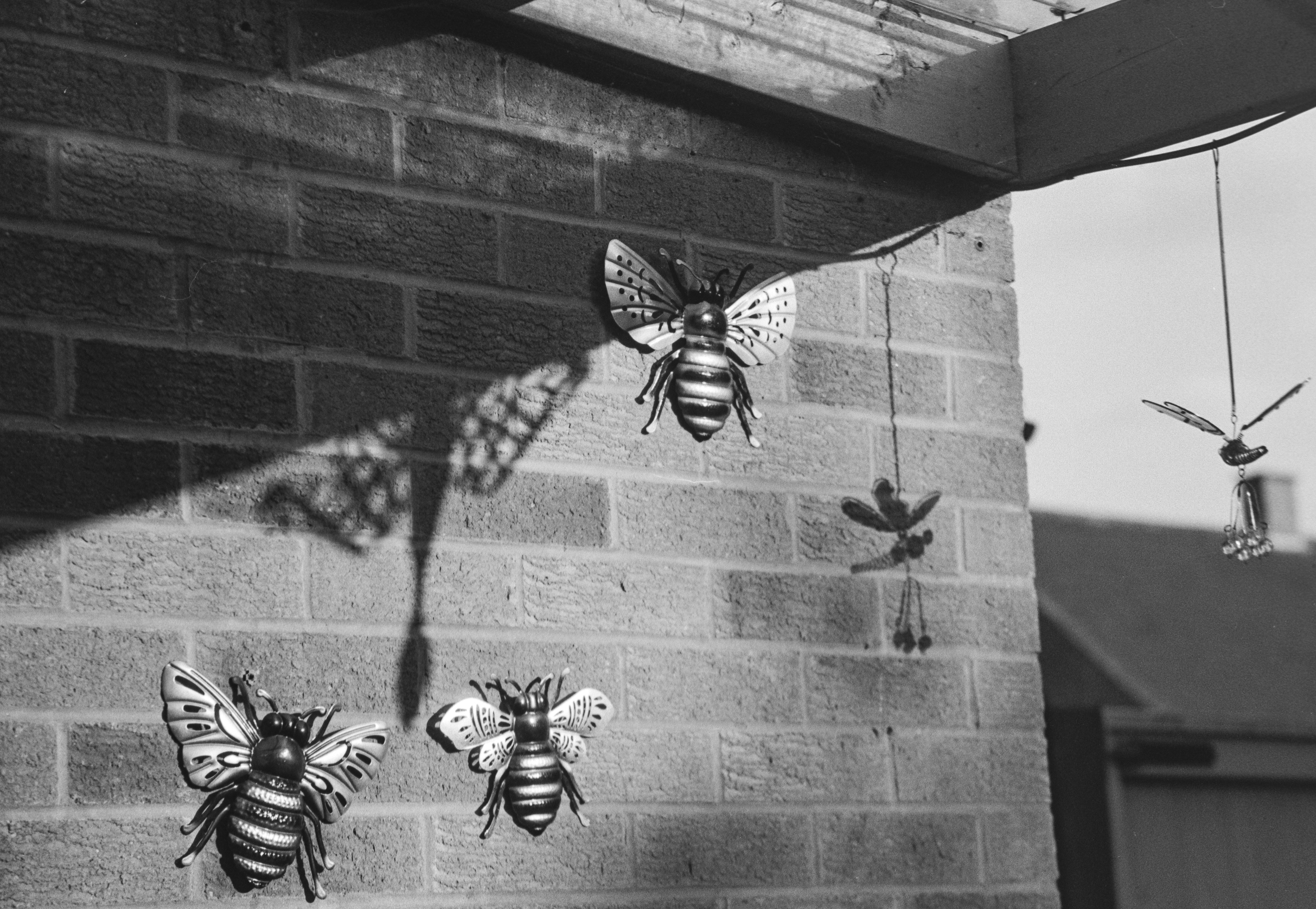 Canon EOS 3 - Ilford FP4+ - 125