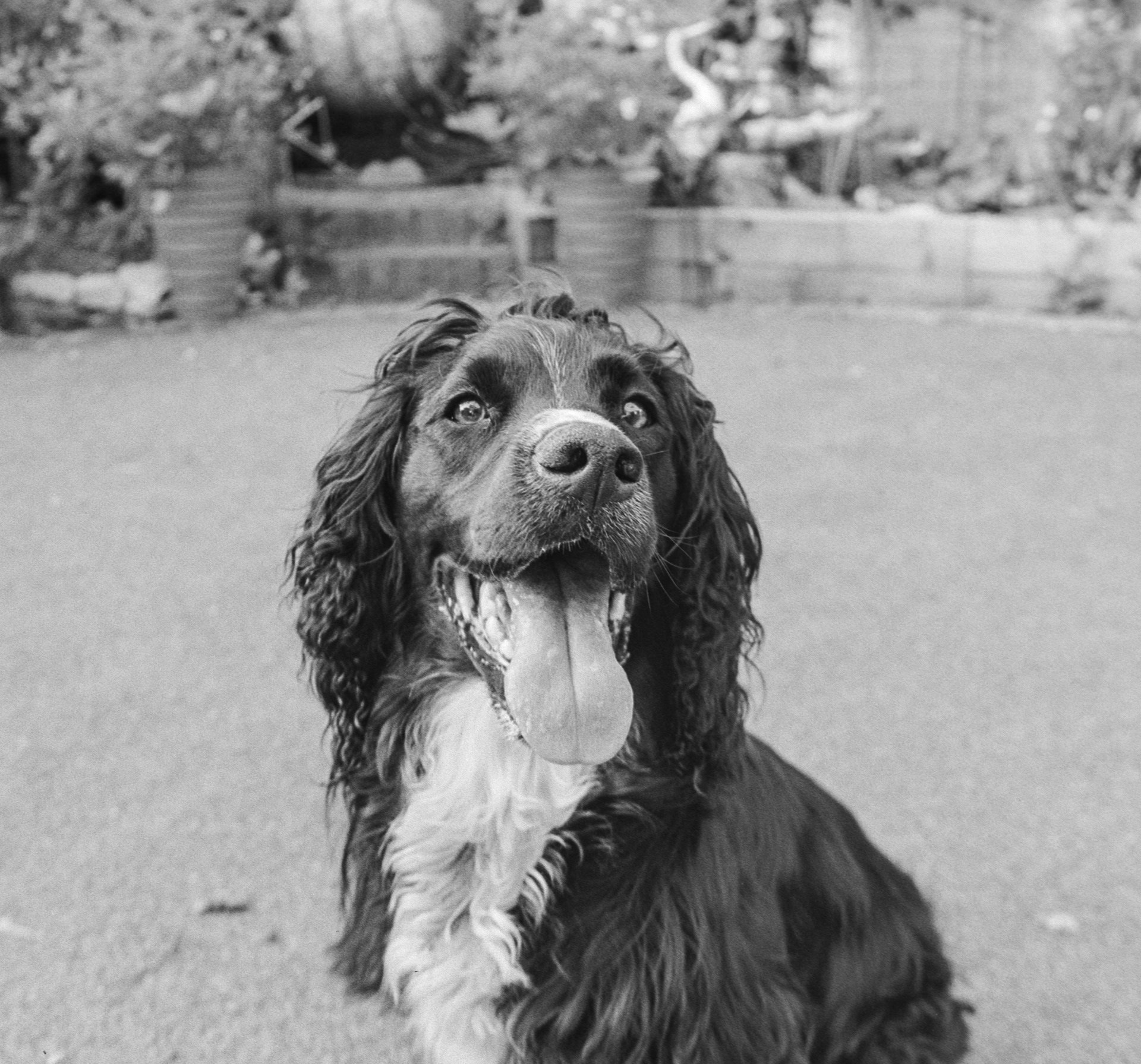 Canon EOS 3 - Ilford FP4+ - 125