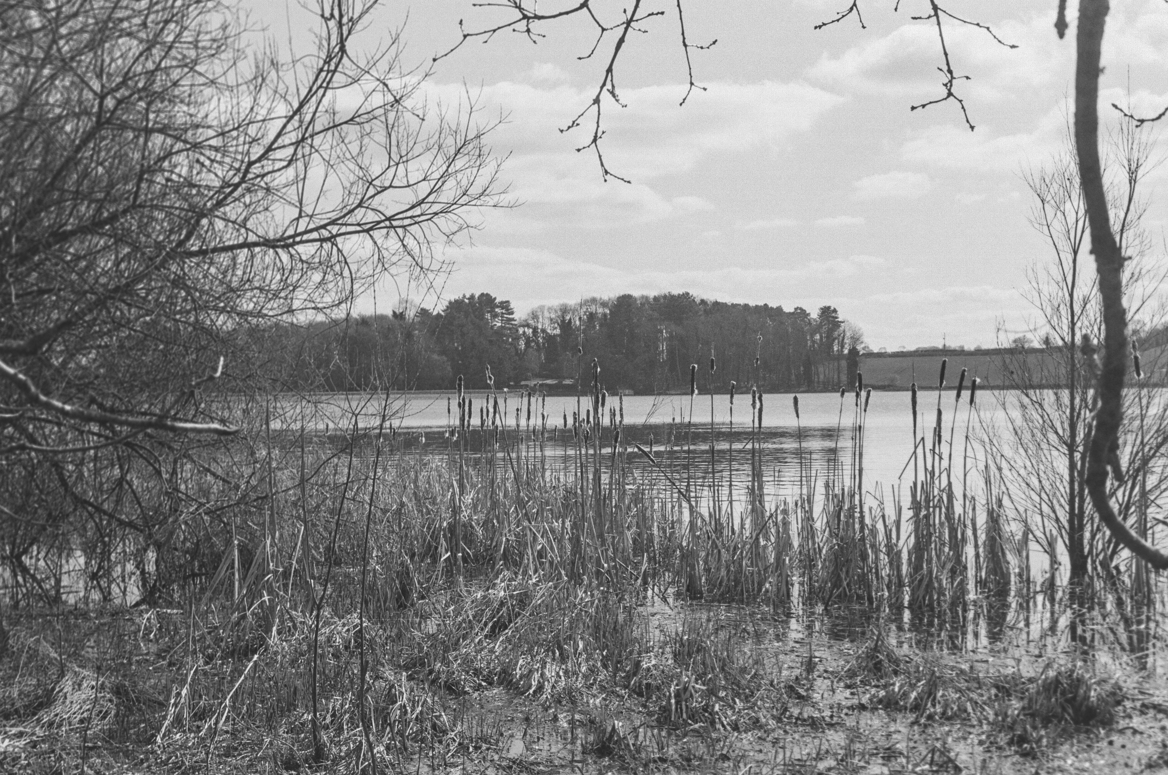 Canon AV-1 - Ilford FP4+ - 125