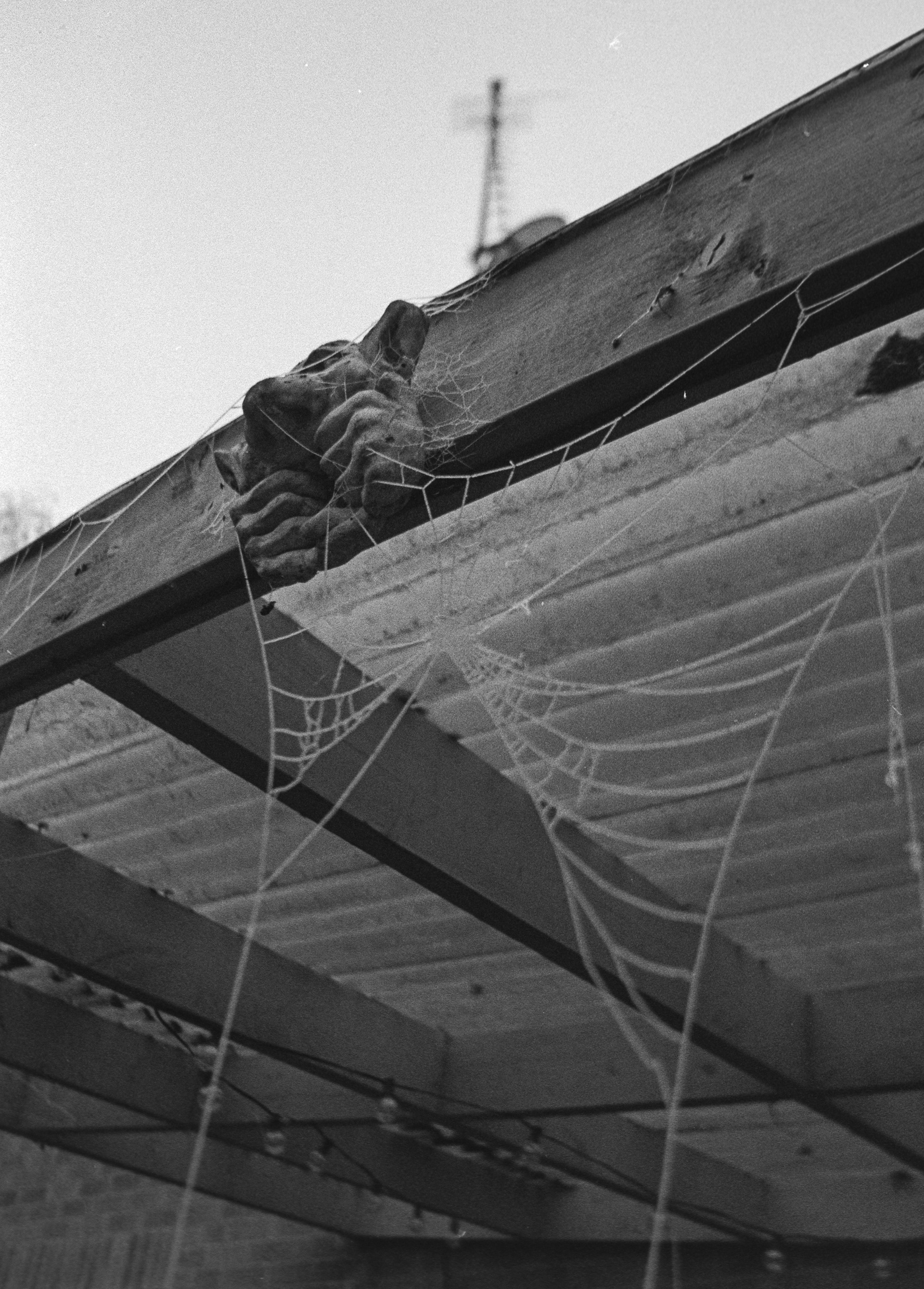 Canon EOS 3 - Kentmere pan - 400