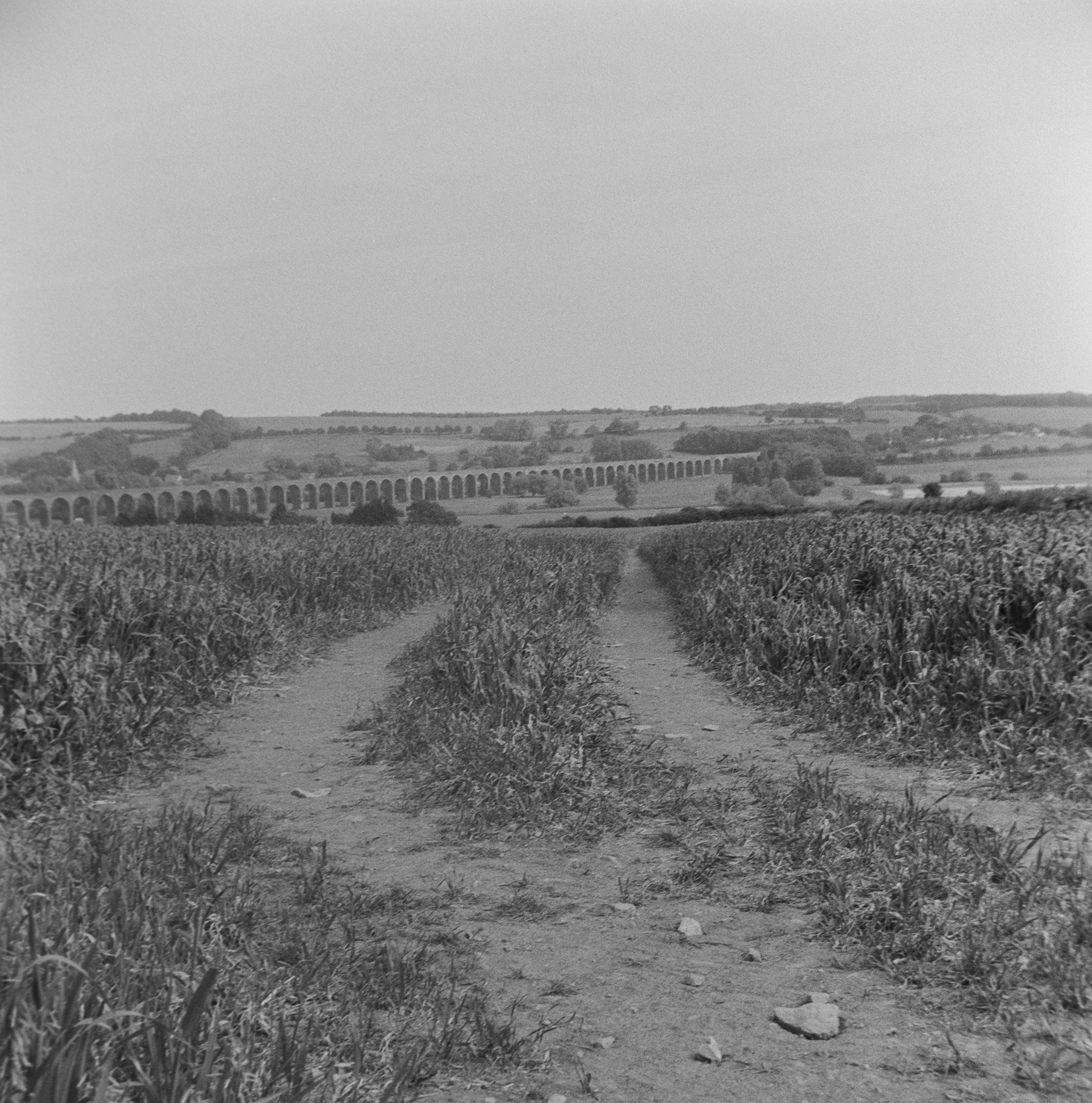 Halina A1 - Fomapan - 400