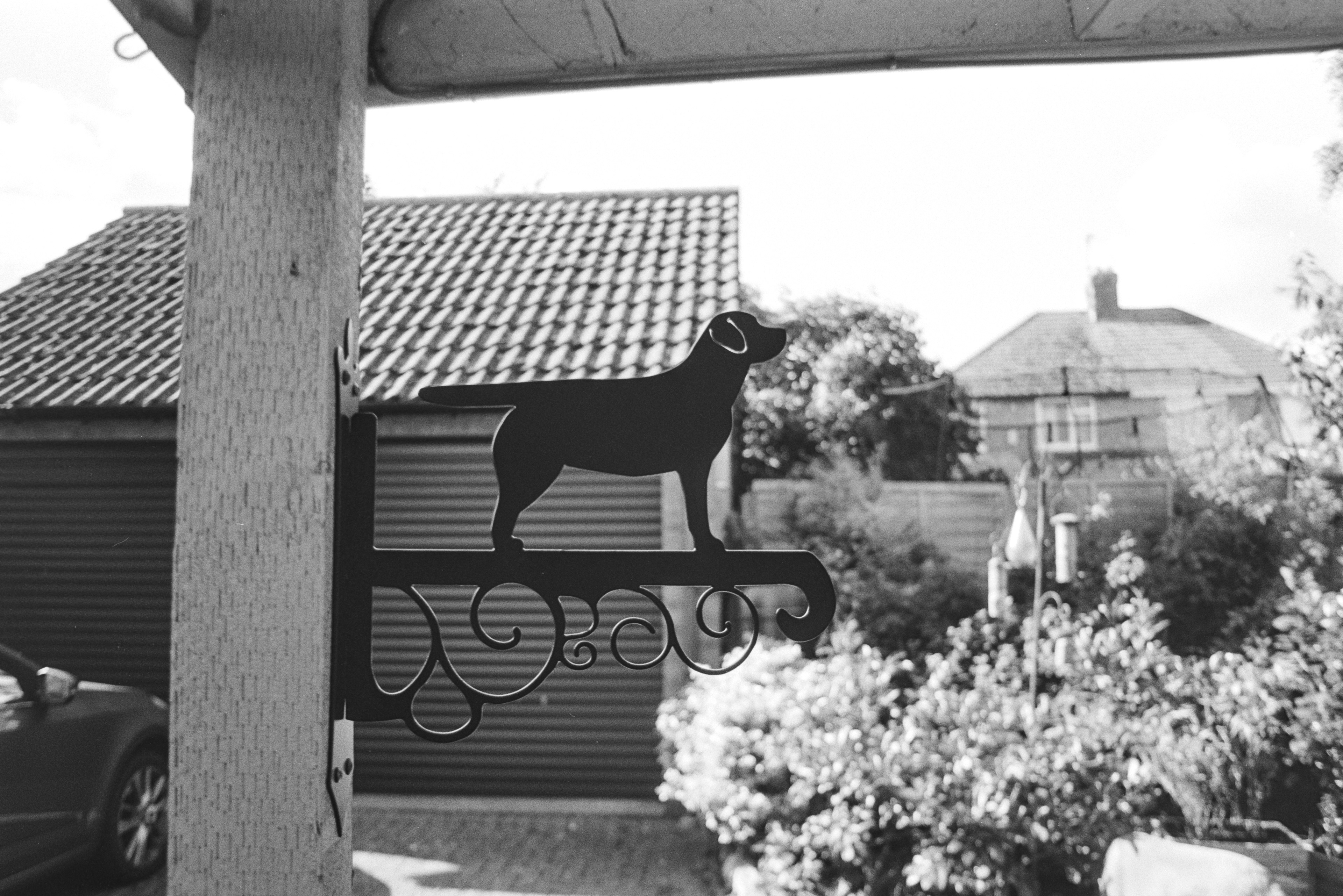 Canon AV-1 - Ilford FP4+ - 125
