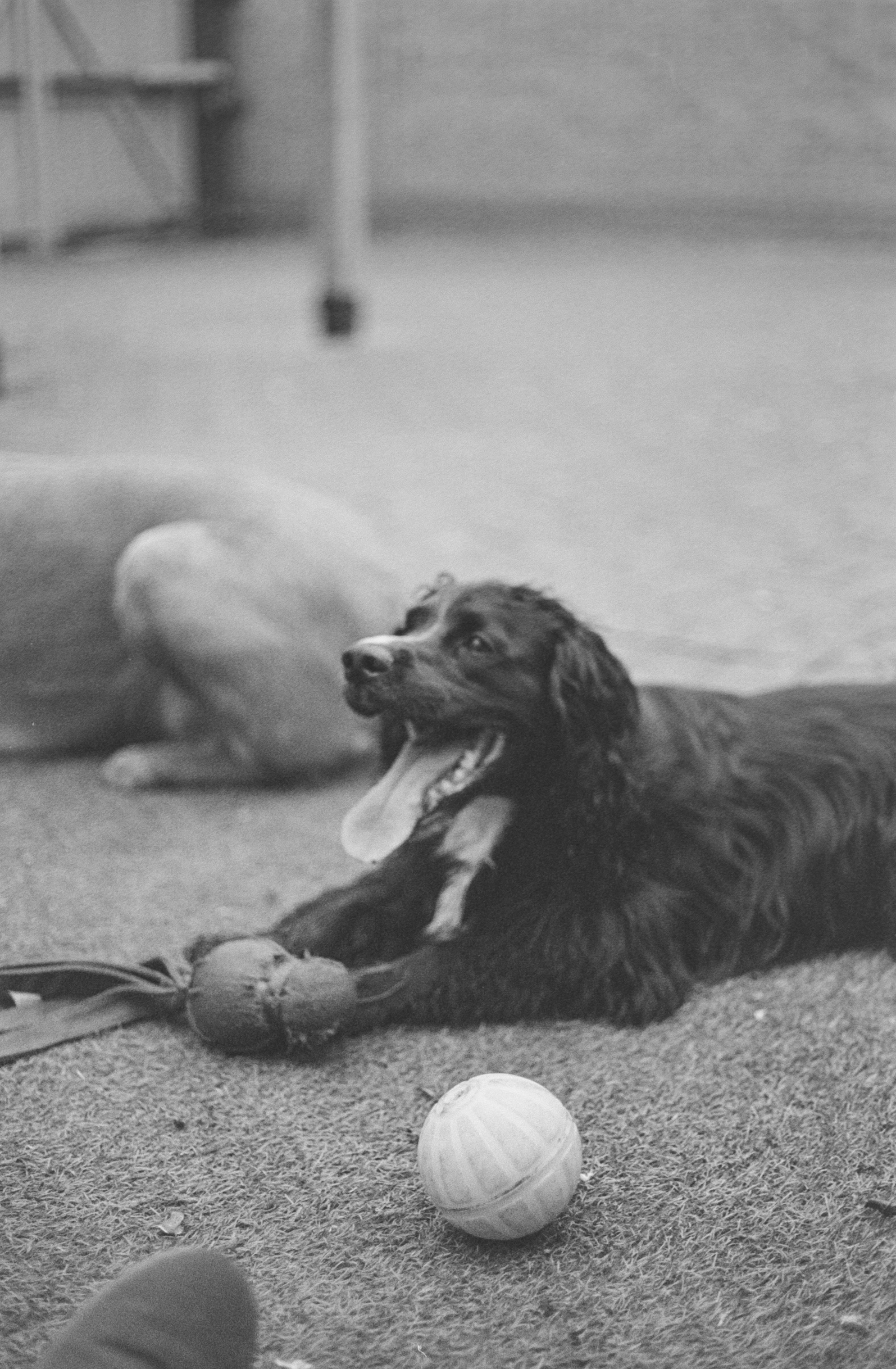 Canon AV-1 - Ilford FP5+ - 400