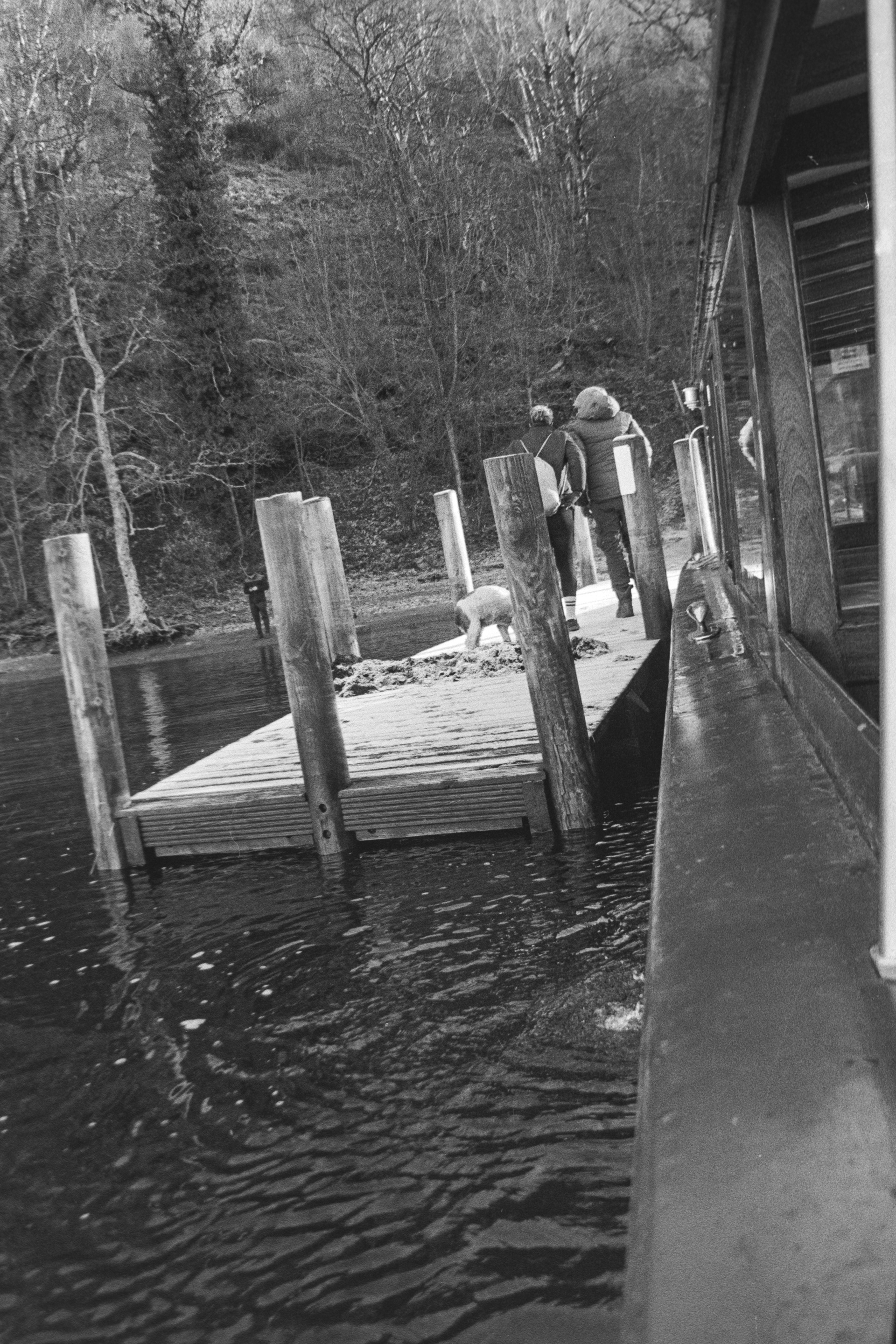 Canon EOS 3 - Kentmere pan - 400