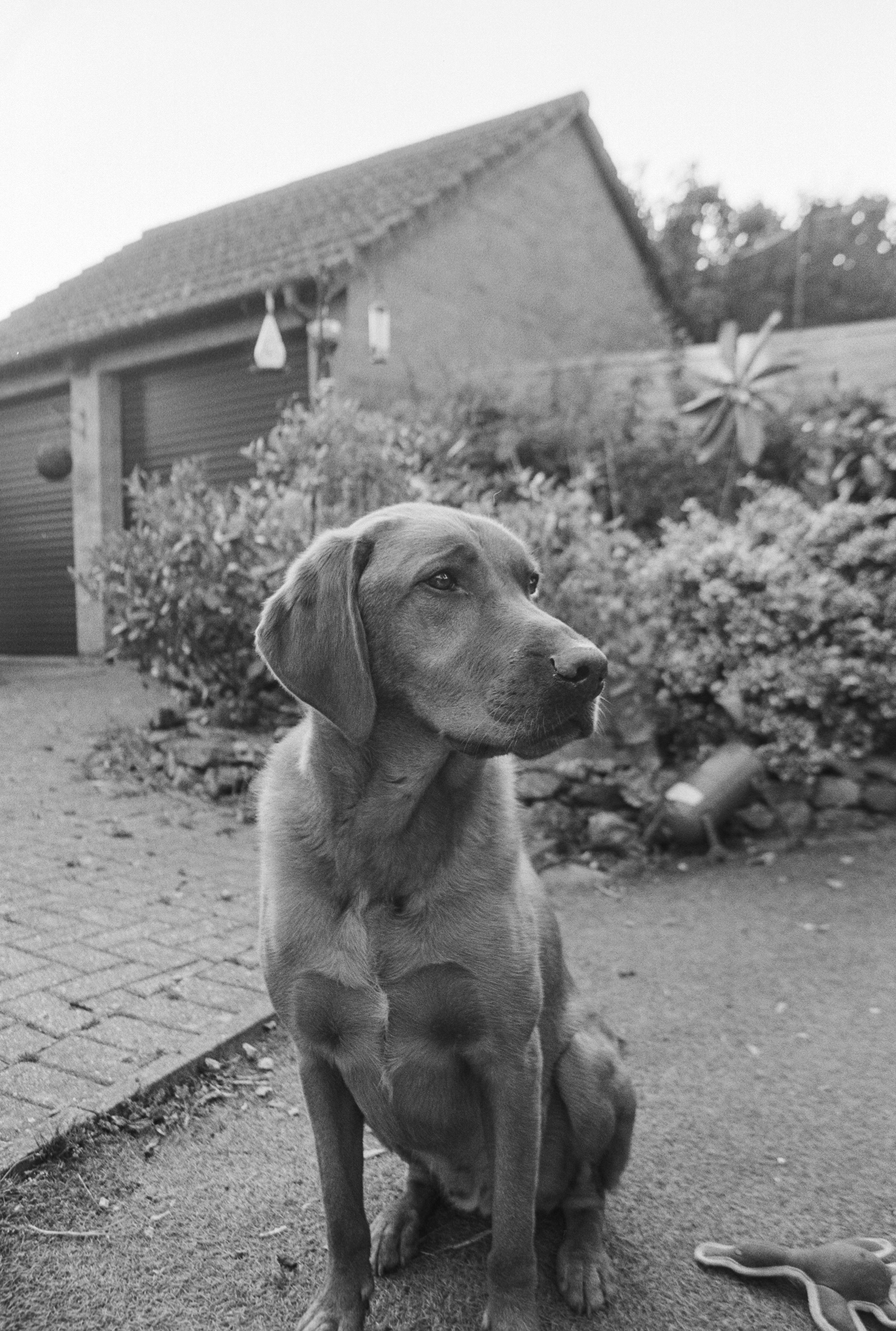Canon EOS 3 - Ilford FP4+ - 125