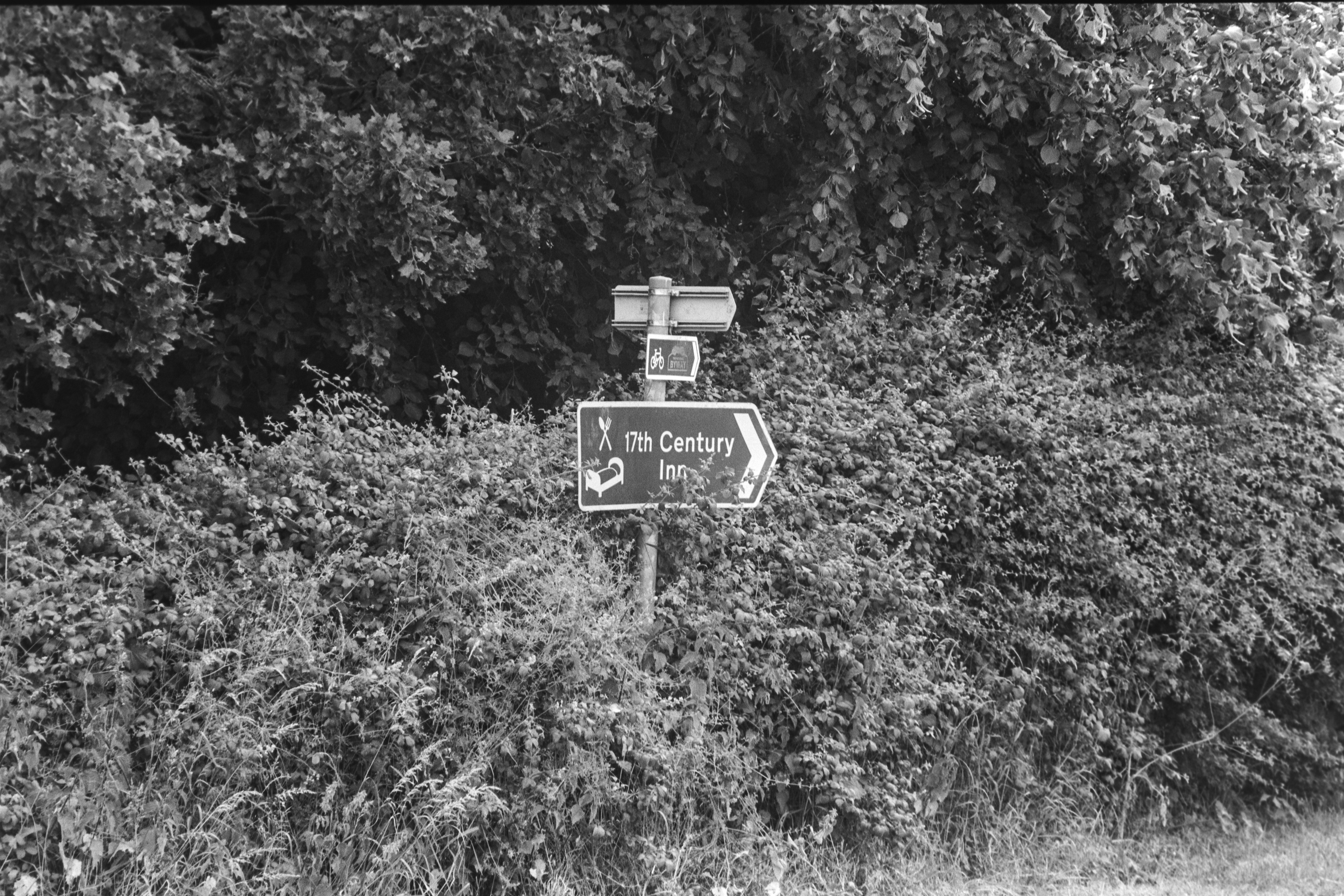 Canon EOS 3 - Ilford Delta- 100