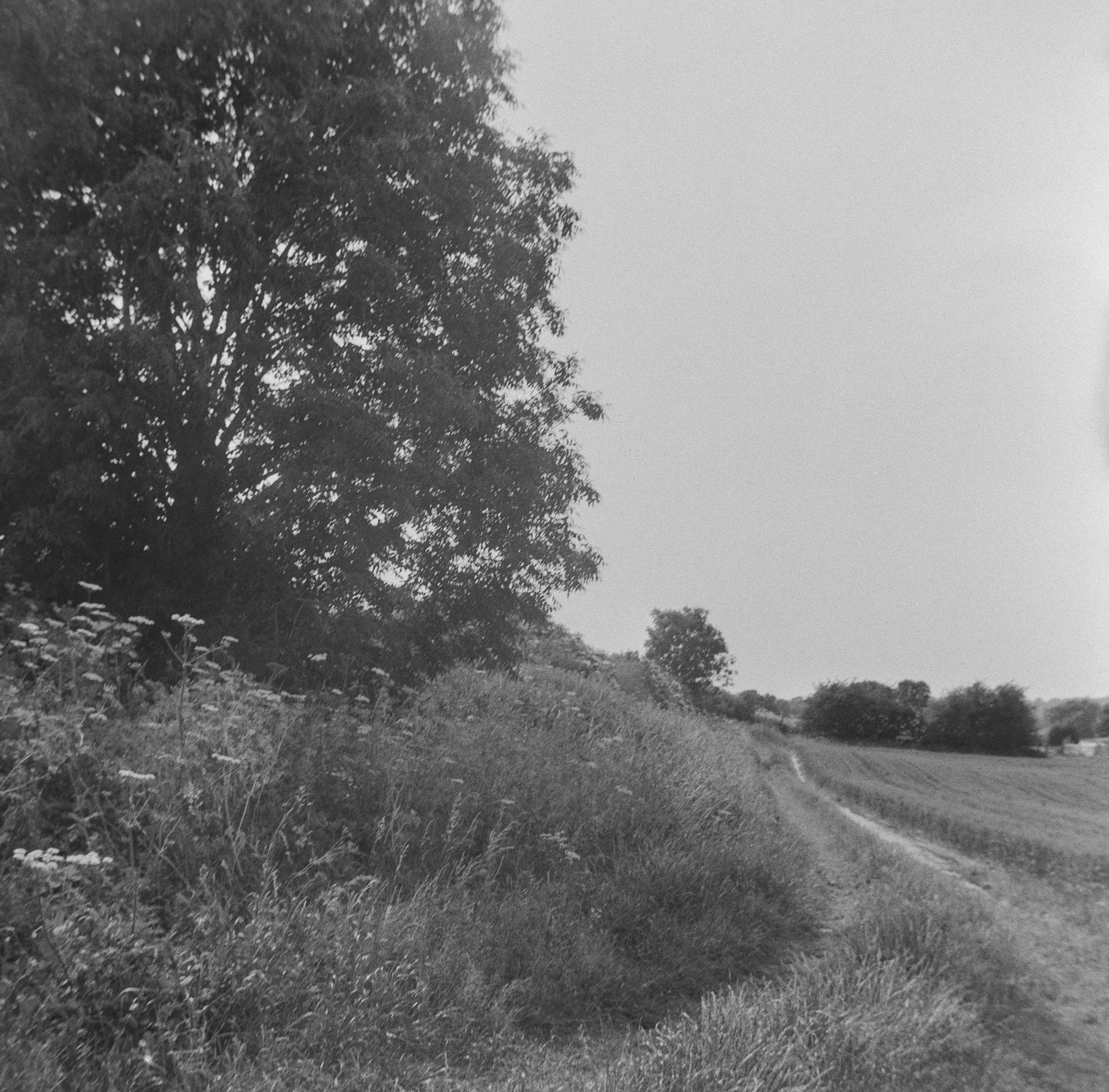 Halina A1 - Fomapan - 400