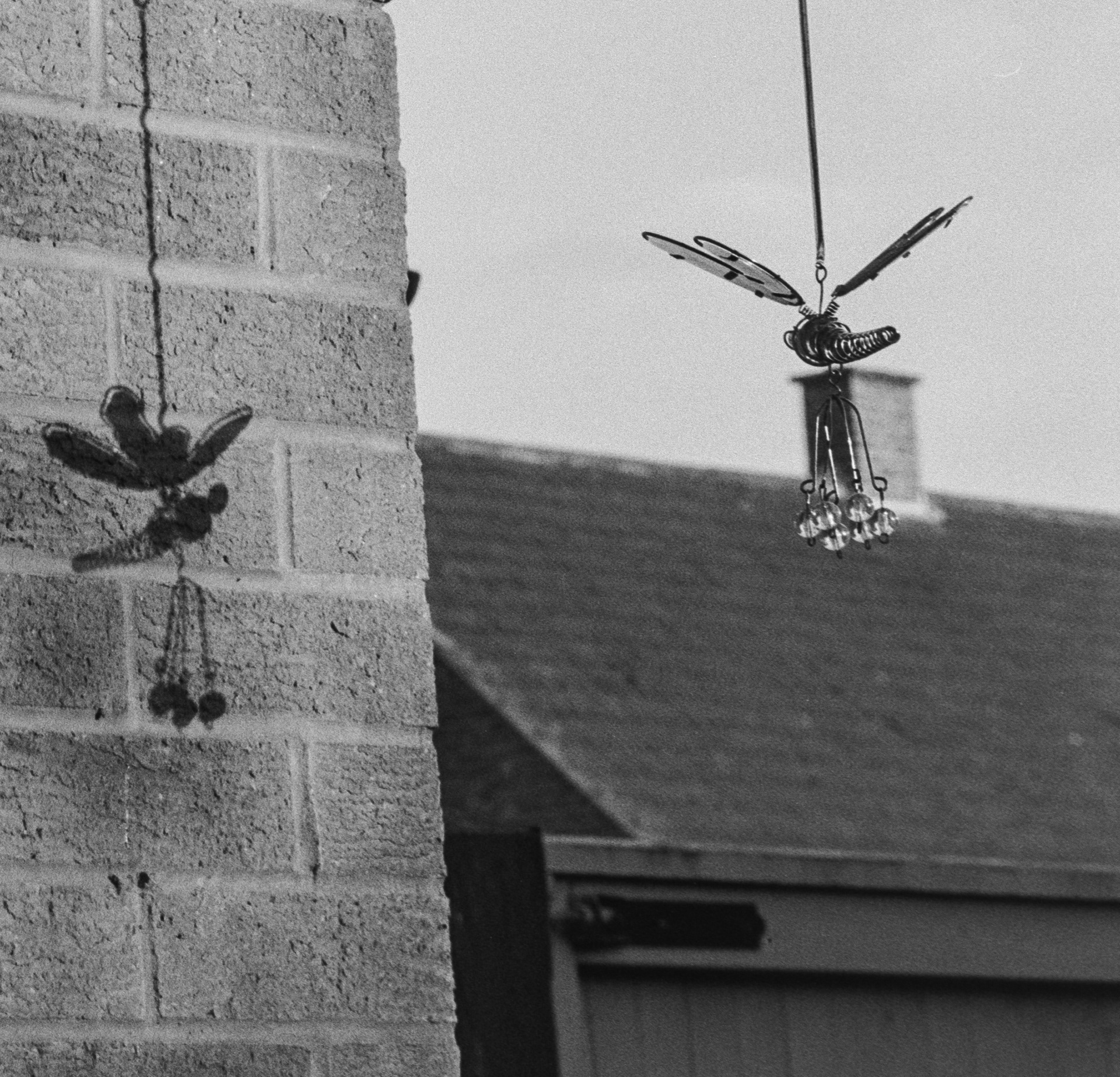 Canon EOS 3 - Ilford FP4+ - 125