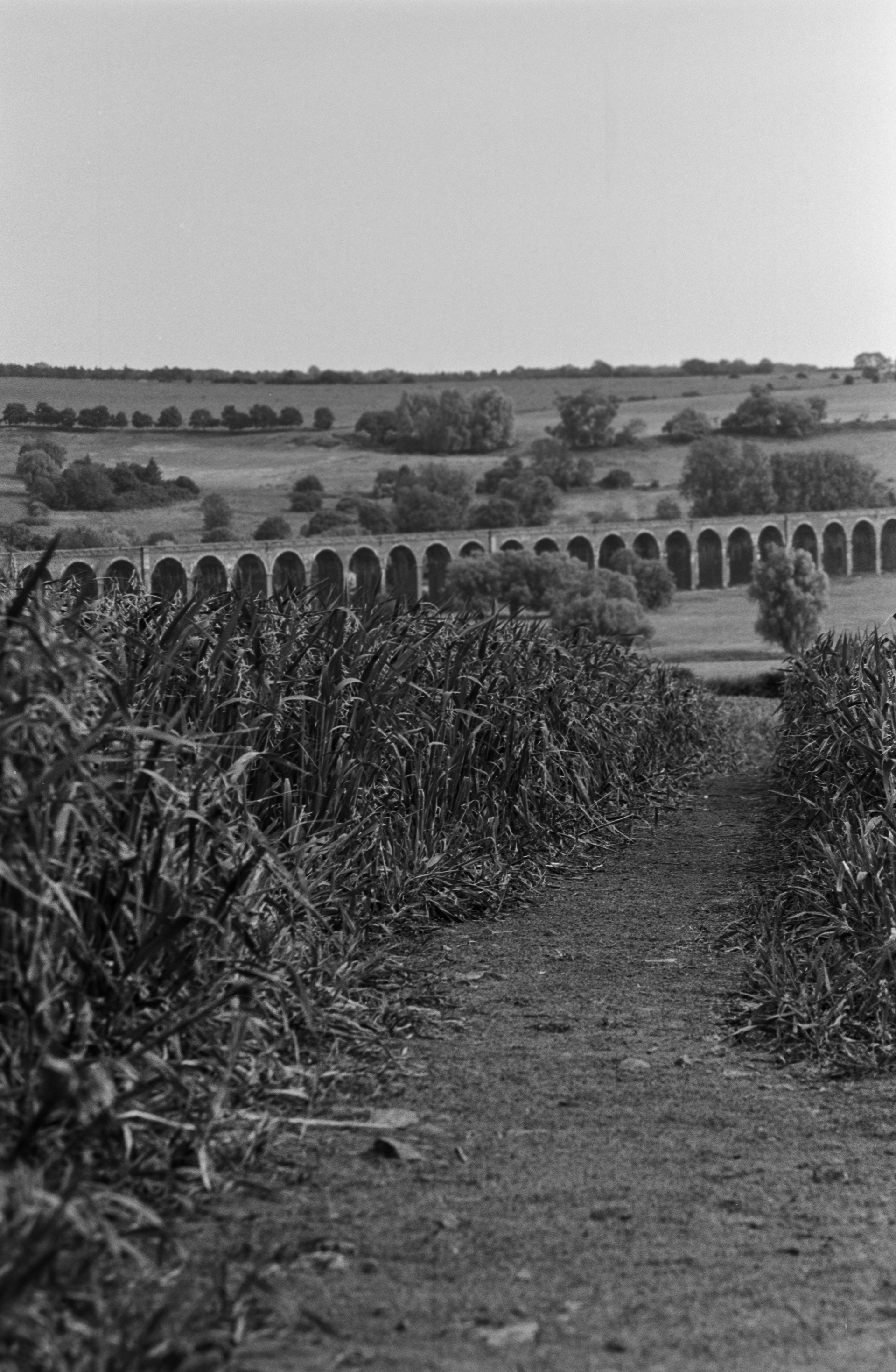 Canon EOS 3 - Ilford Delta- 100