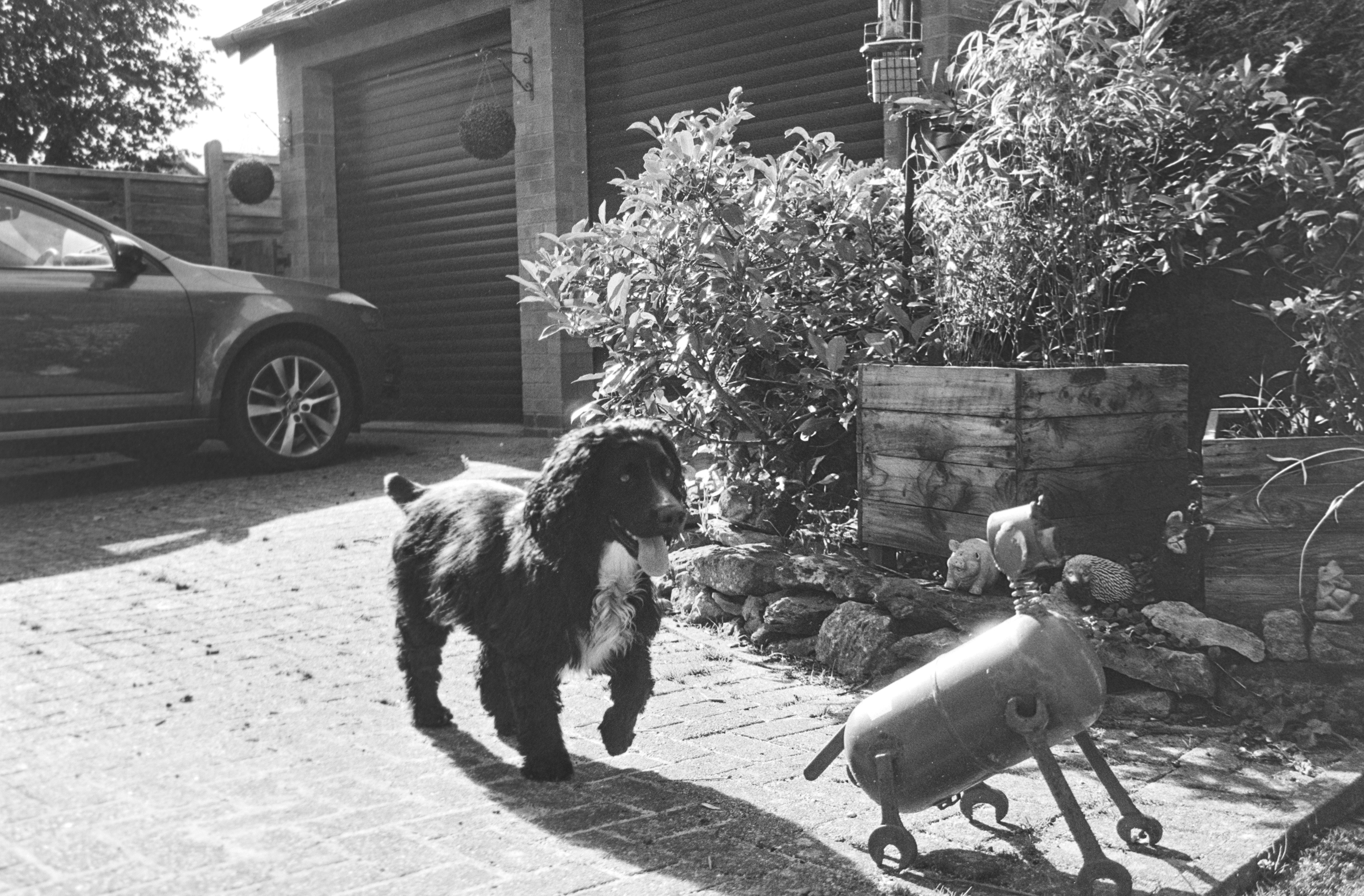 Canon AV-1 - Ilford FP4+ - 125