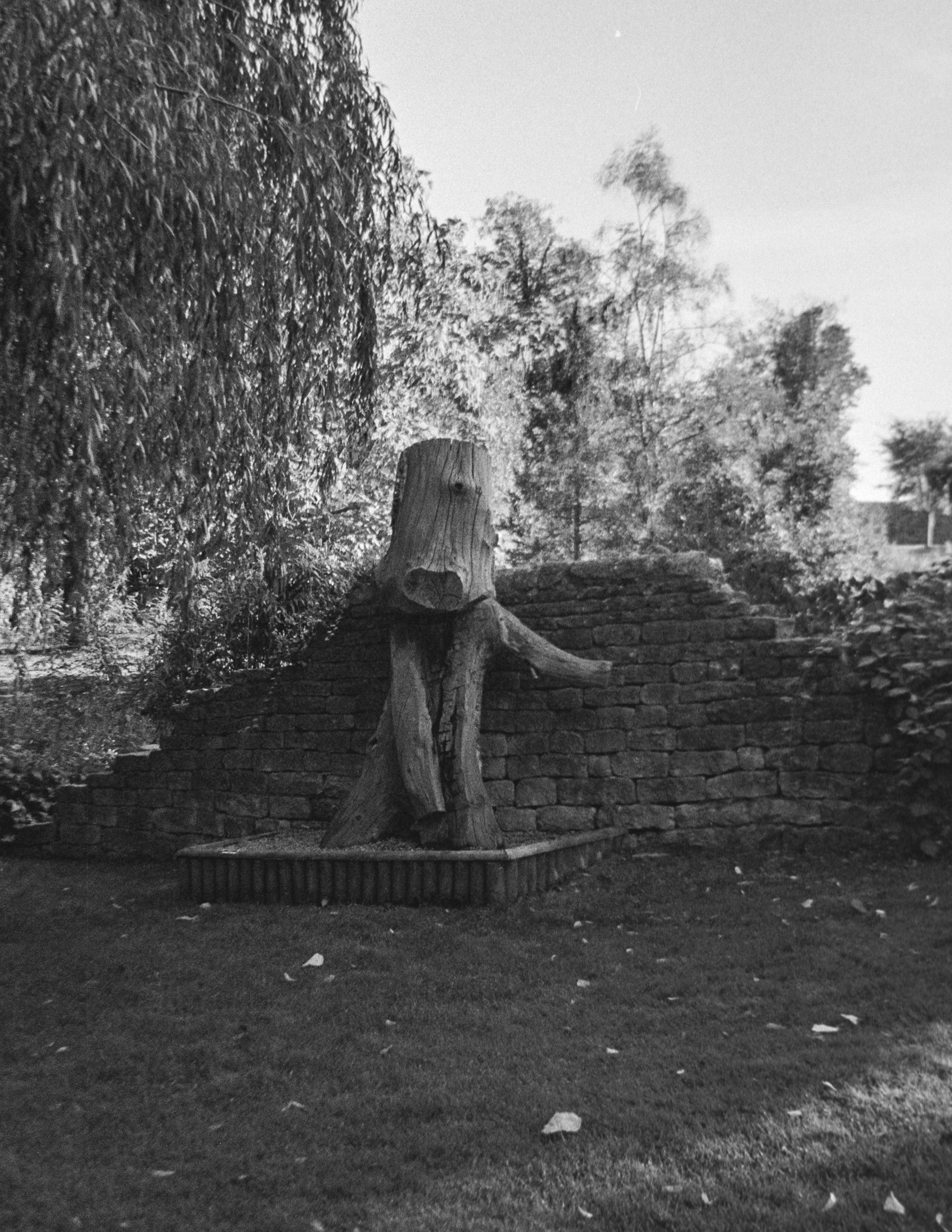 Canon EOS 3 - Kentmere pan - 400