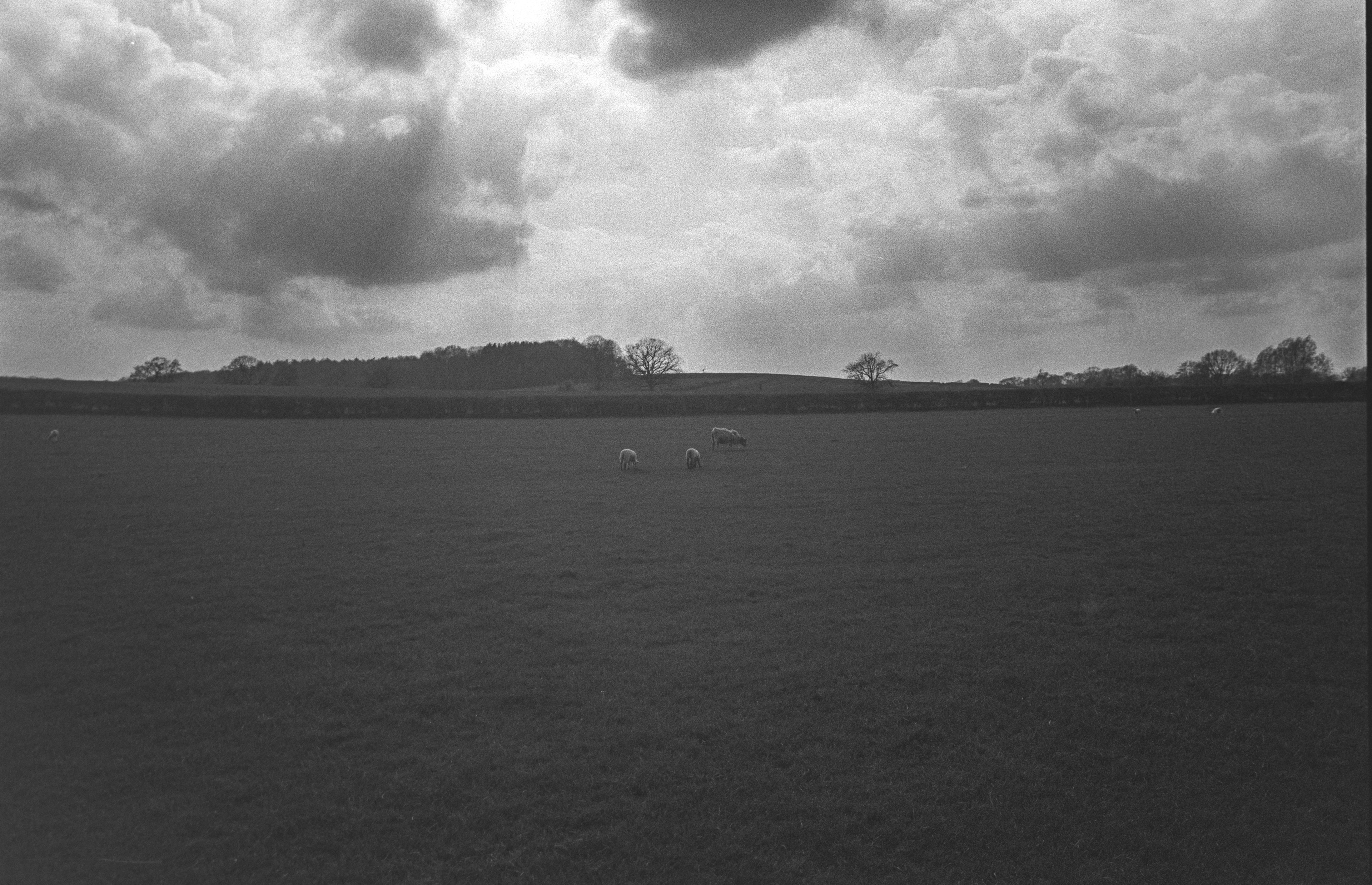 Canon AV-1 - Fomapan - 100