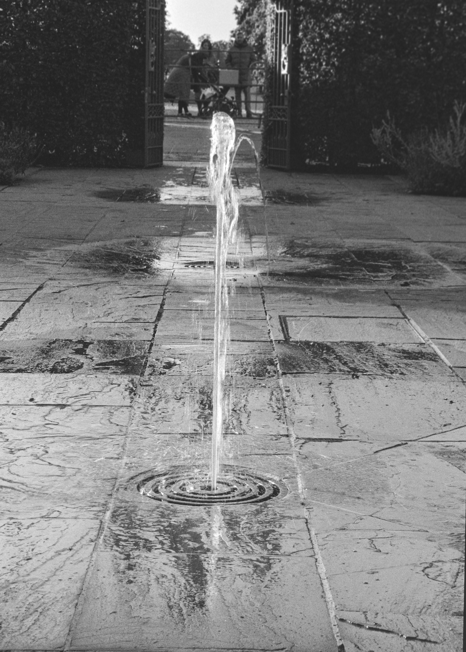 Canon EOS 3 - Kentmere pan - 400