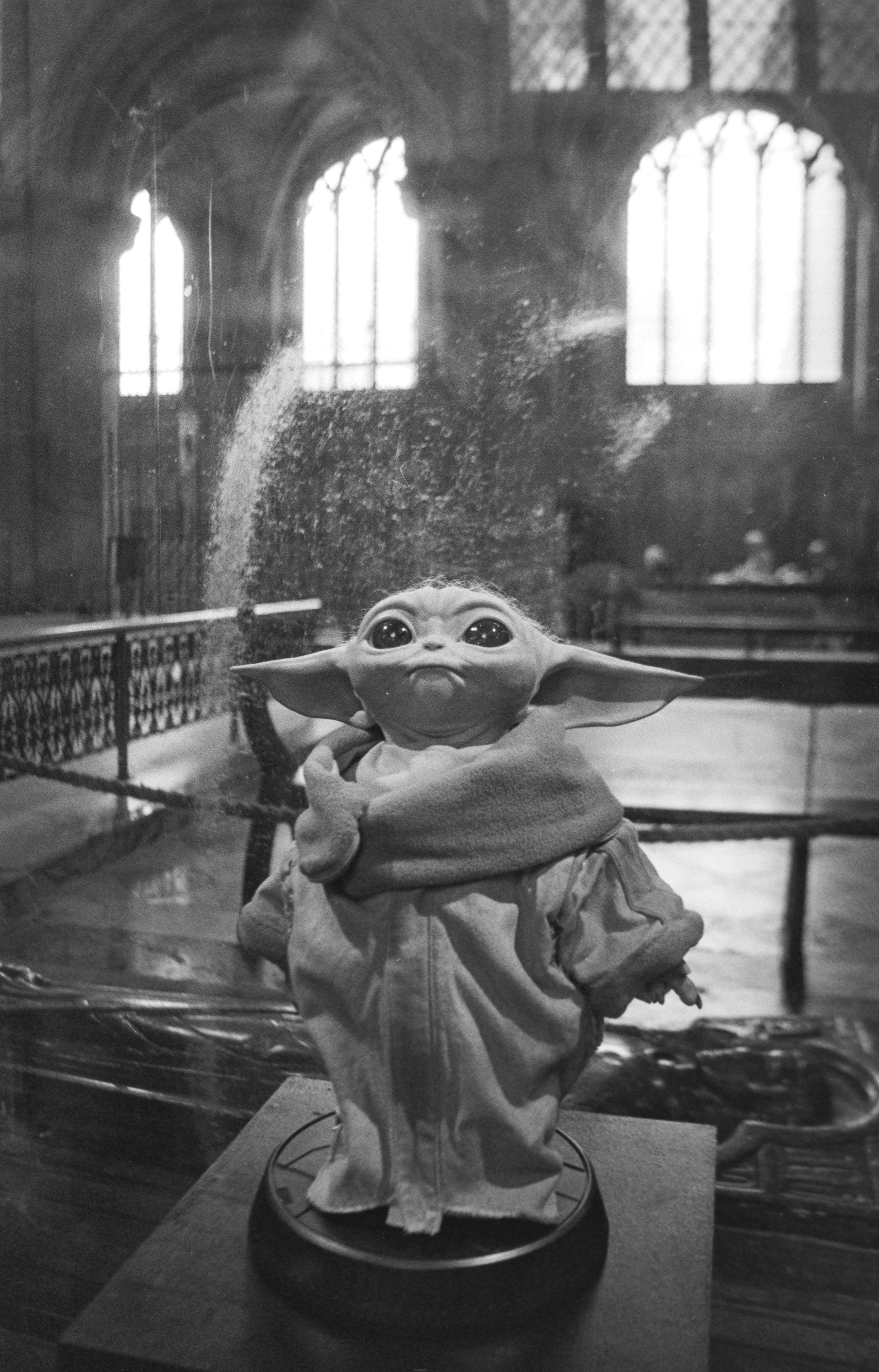 Canon EOS 3 - Kentmere pan - 400