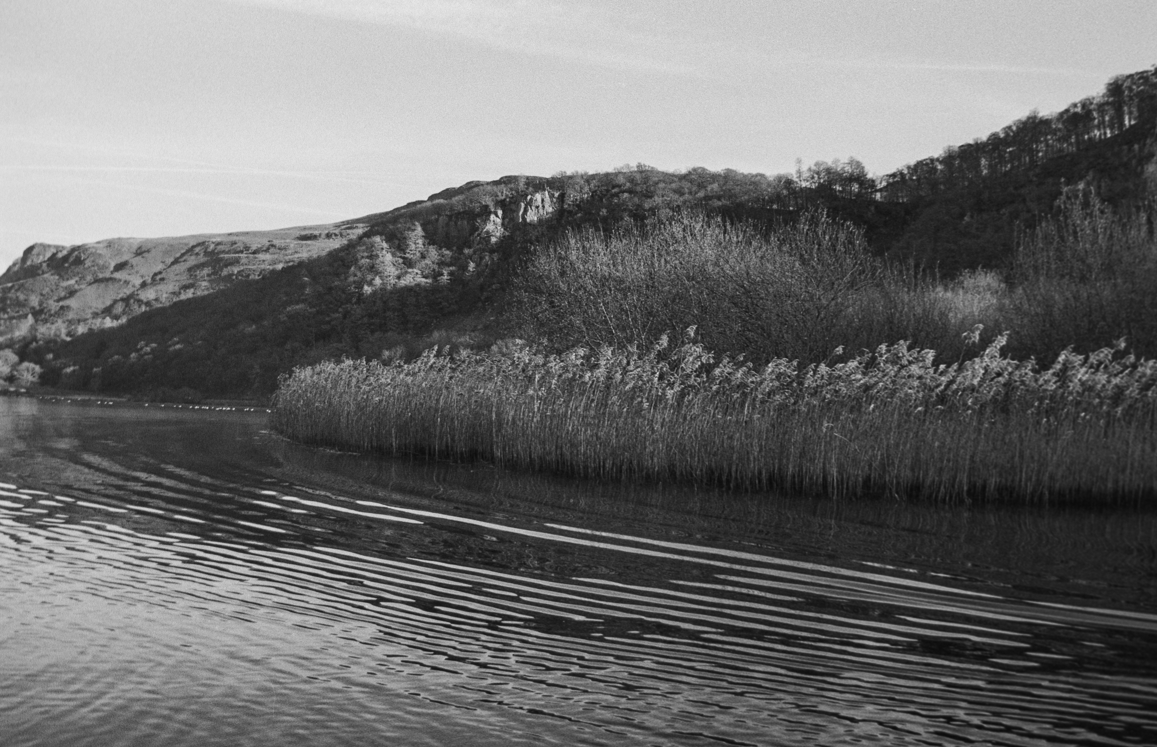 Canon EOS 3 - Kentmere pan - 400