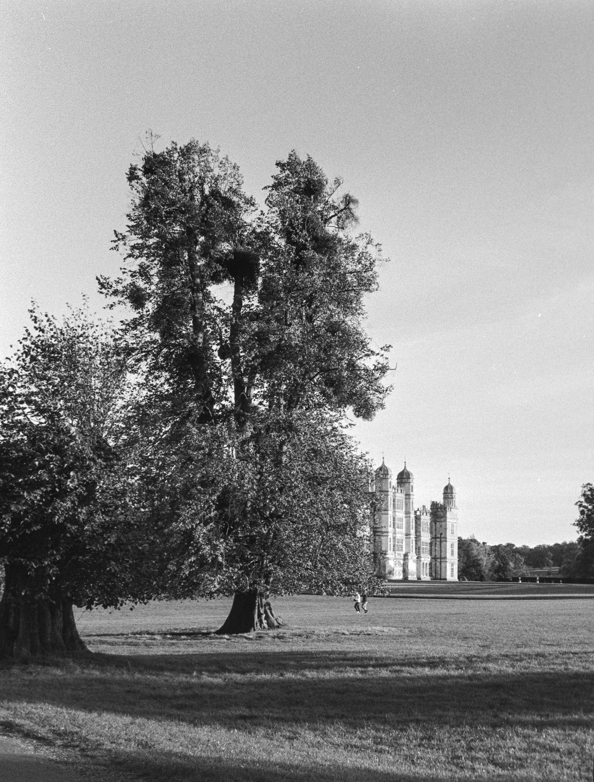 Canon EOS 3 - Kentmere pan - 400