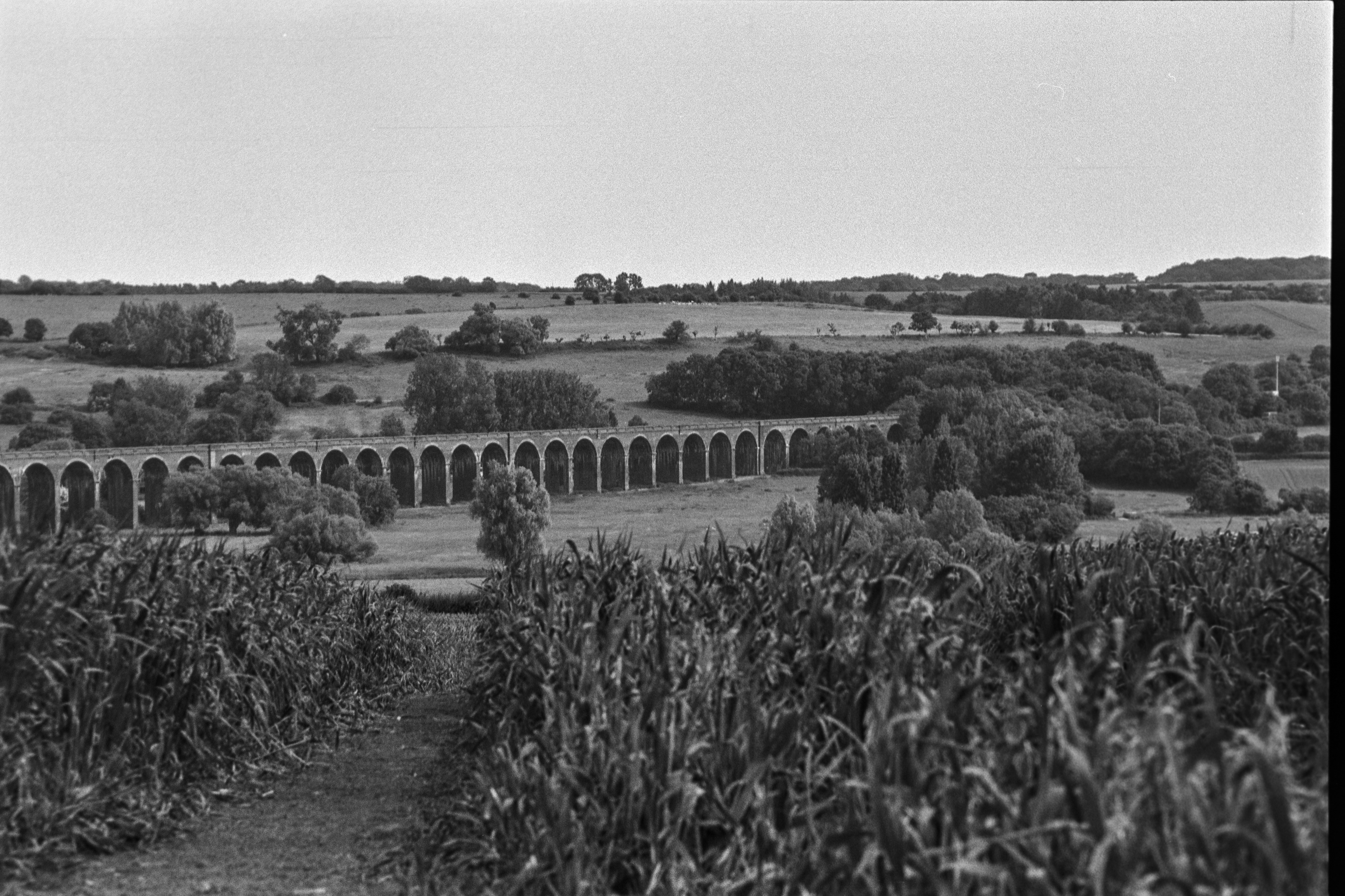 Canon EOS 3 - Ilford Delta- 100