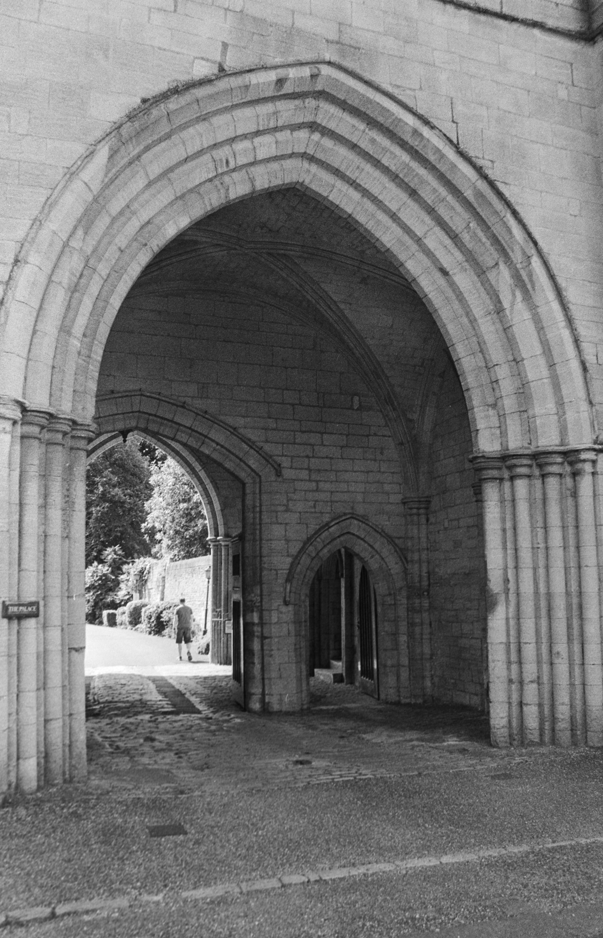 Canon EOS 3 - Kentmere pan - 400