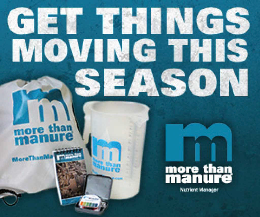 Display ad promo