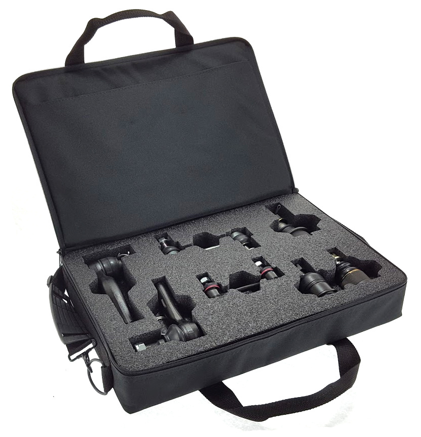 Sample Case Detail