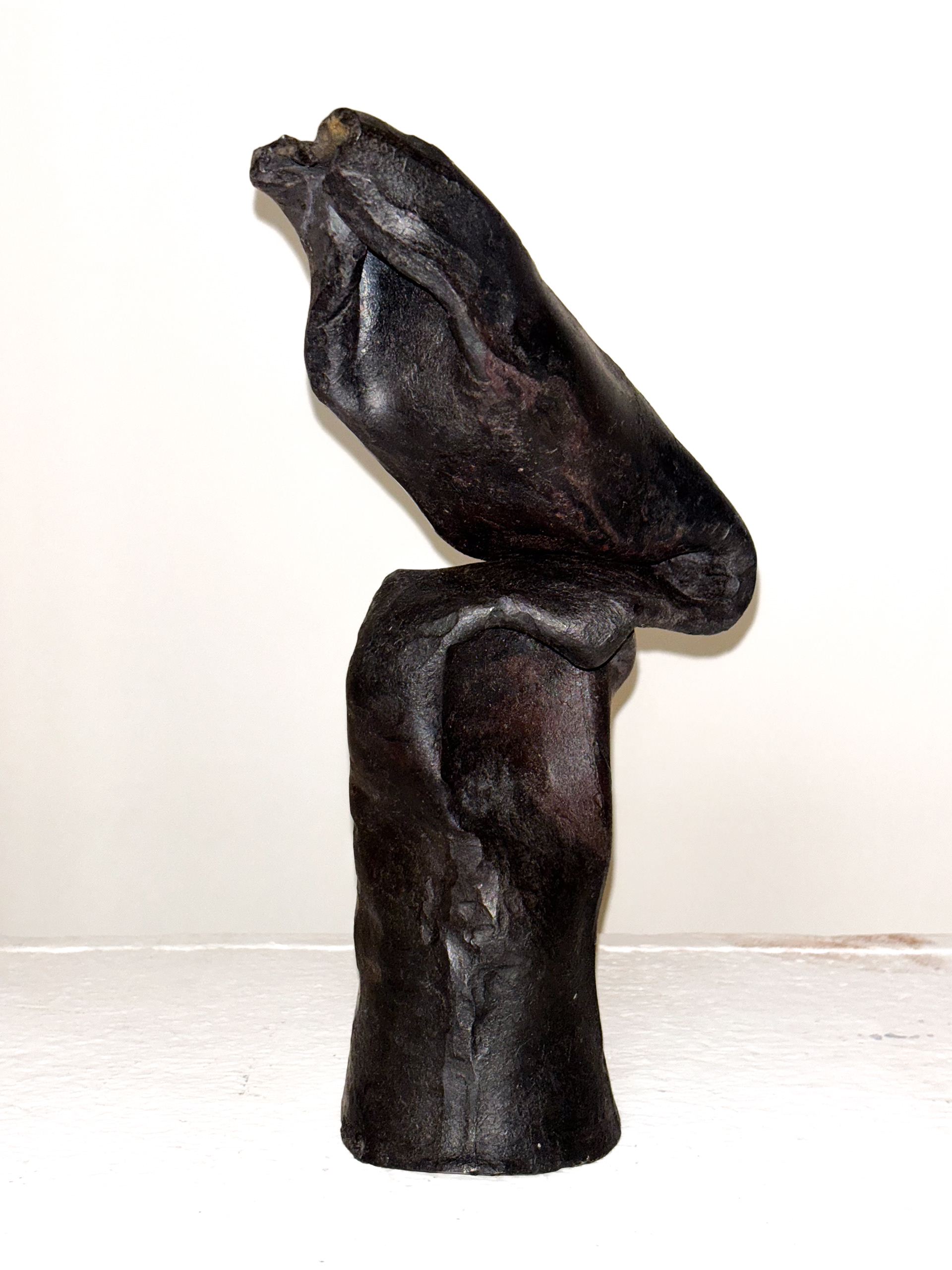 Geschmiedetes Kunstwerk aus Eisen mit einer stark gebogenen Form. Die Oberfläche weist rauhe, metallische Strukturen auf und das Werk hat einen organischen, fließenden Charakter.