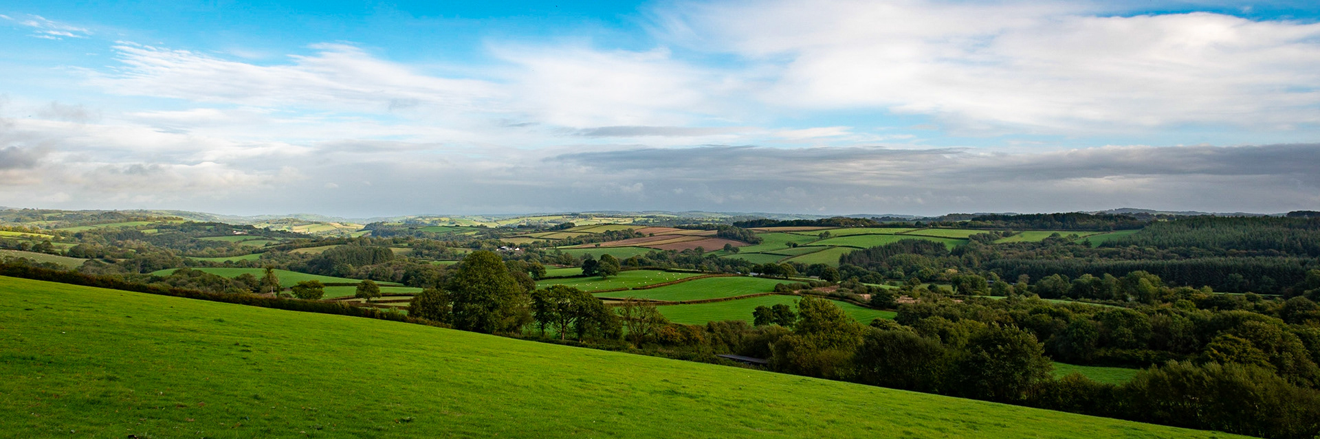 Exmoor panorama near East Anstey