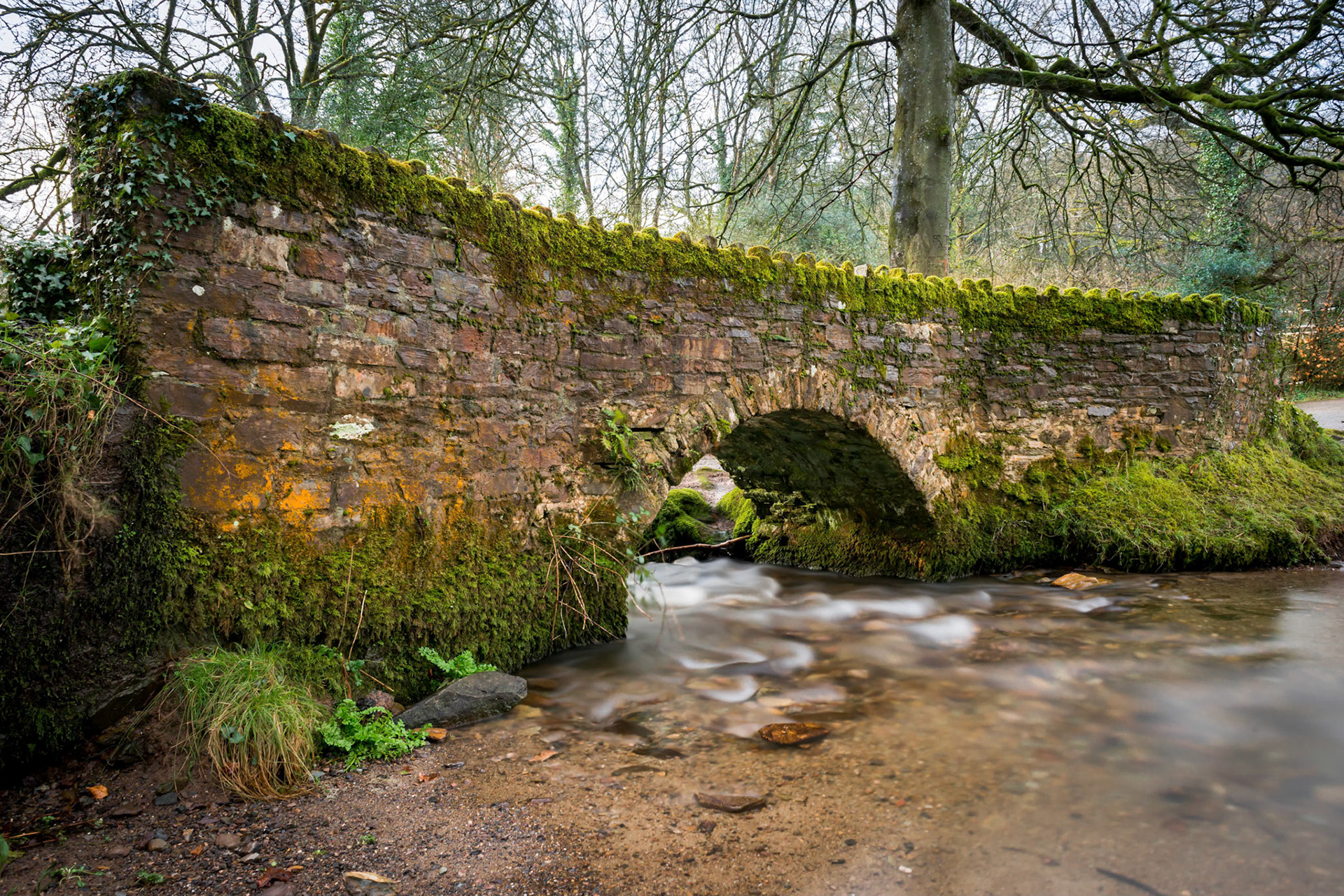 Kings Bridge, Danes Brook #2