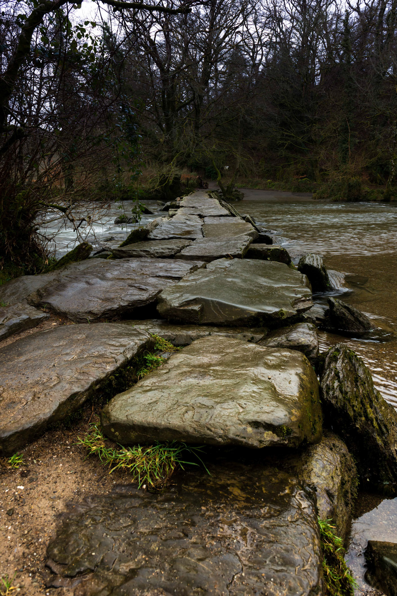 Tarr Steps #1