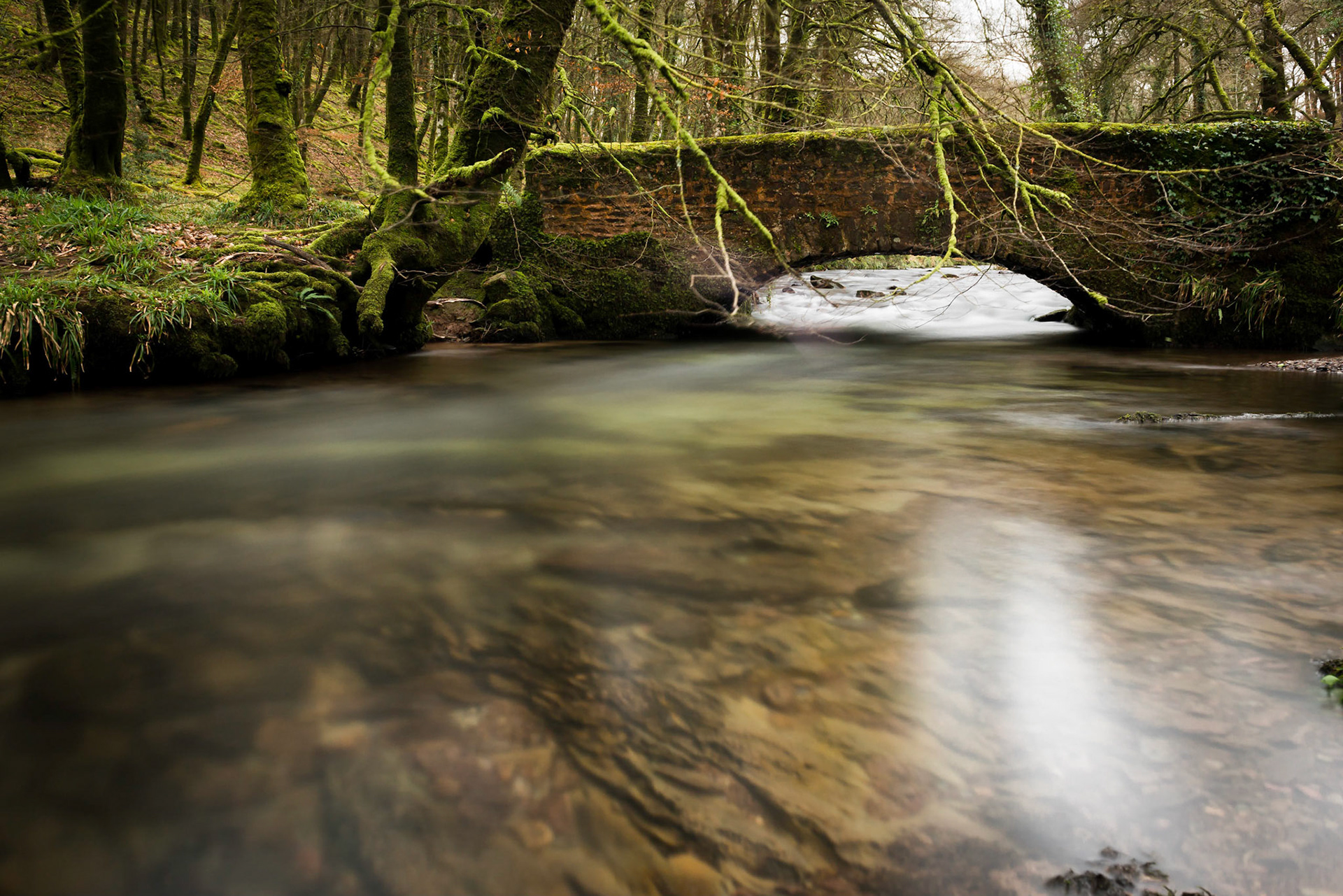 Kings Bridge, Danes Brook #1