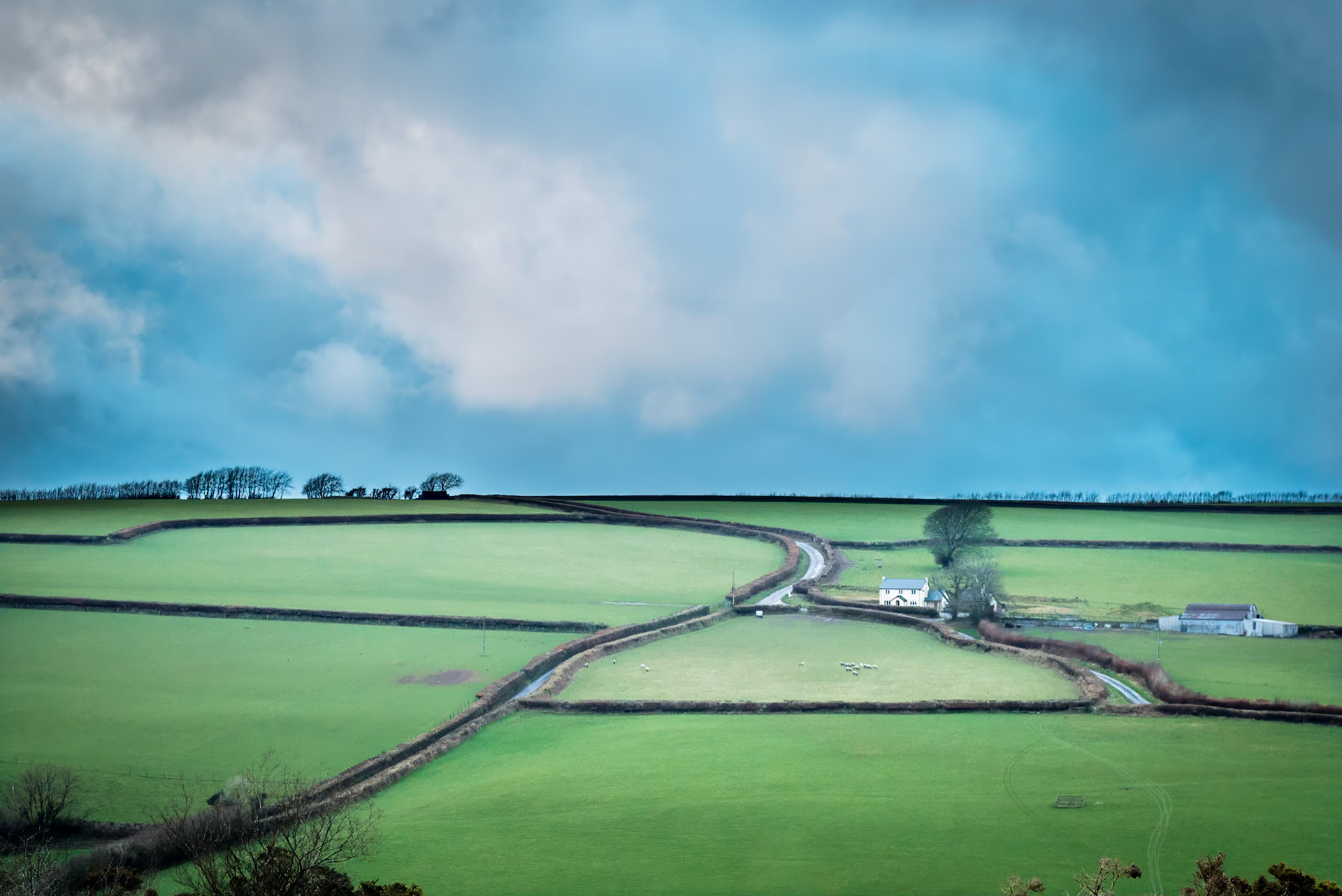 Classic Exmoor farmland