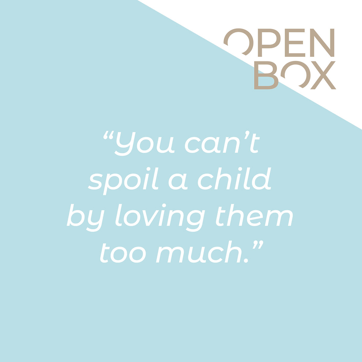 Open Box brand application 9