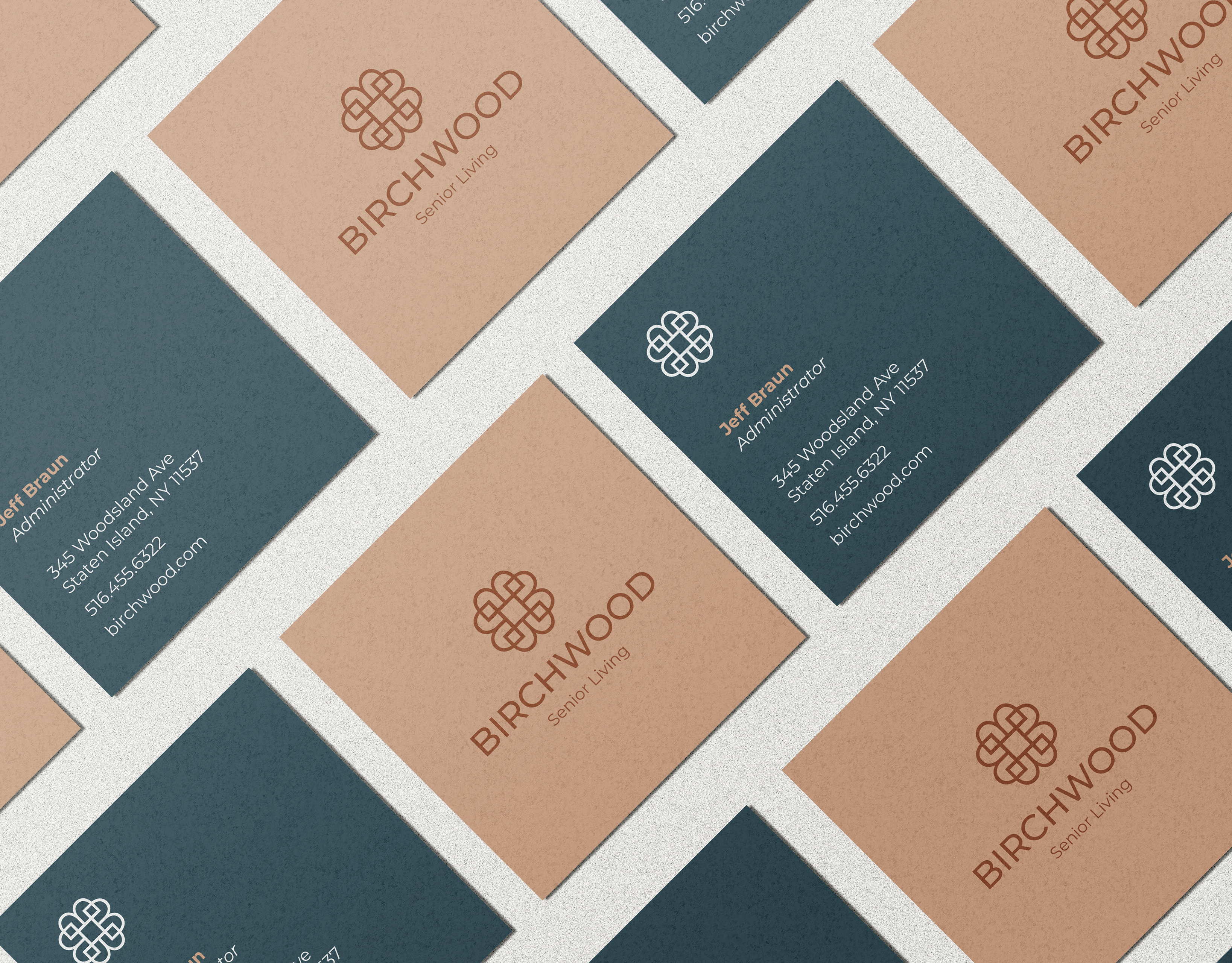 Birchwood branding project