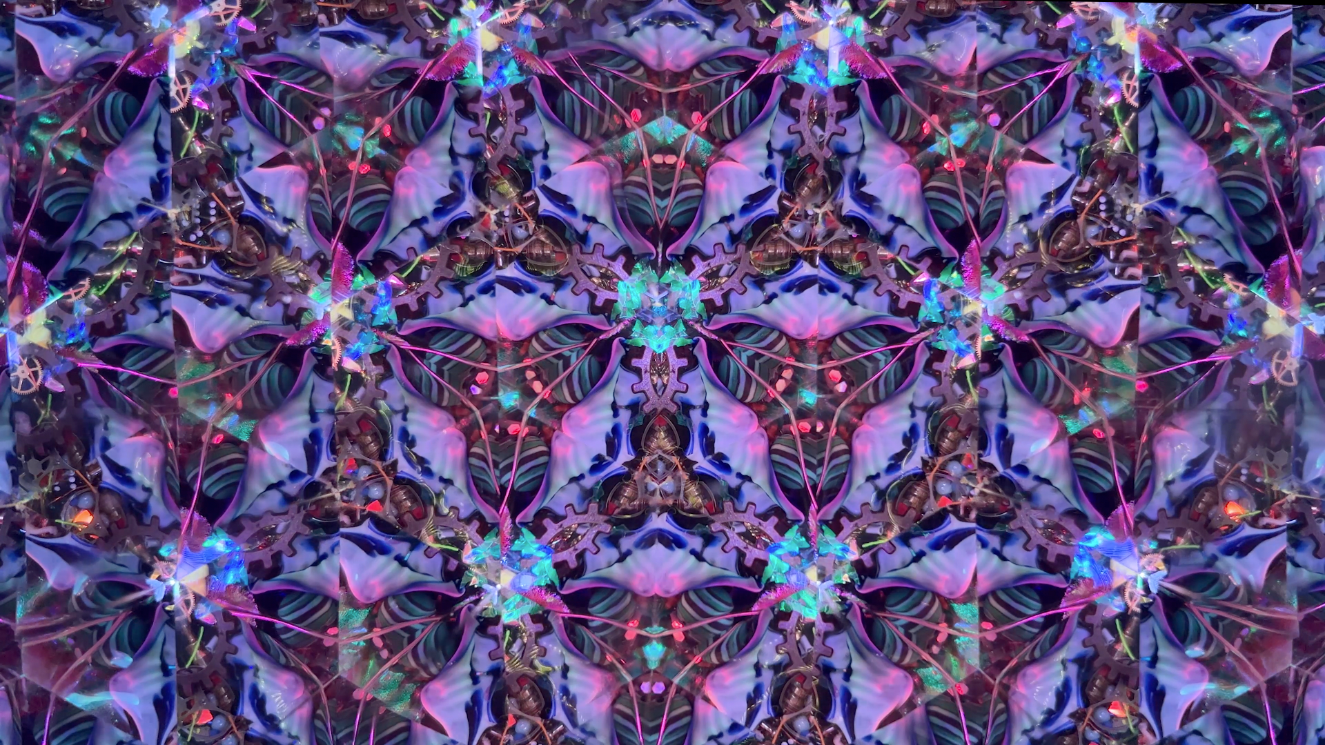 A unique image that Kaleideo captured