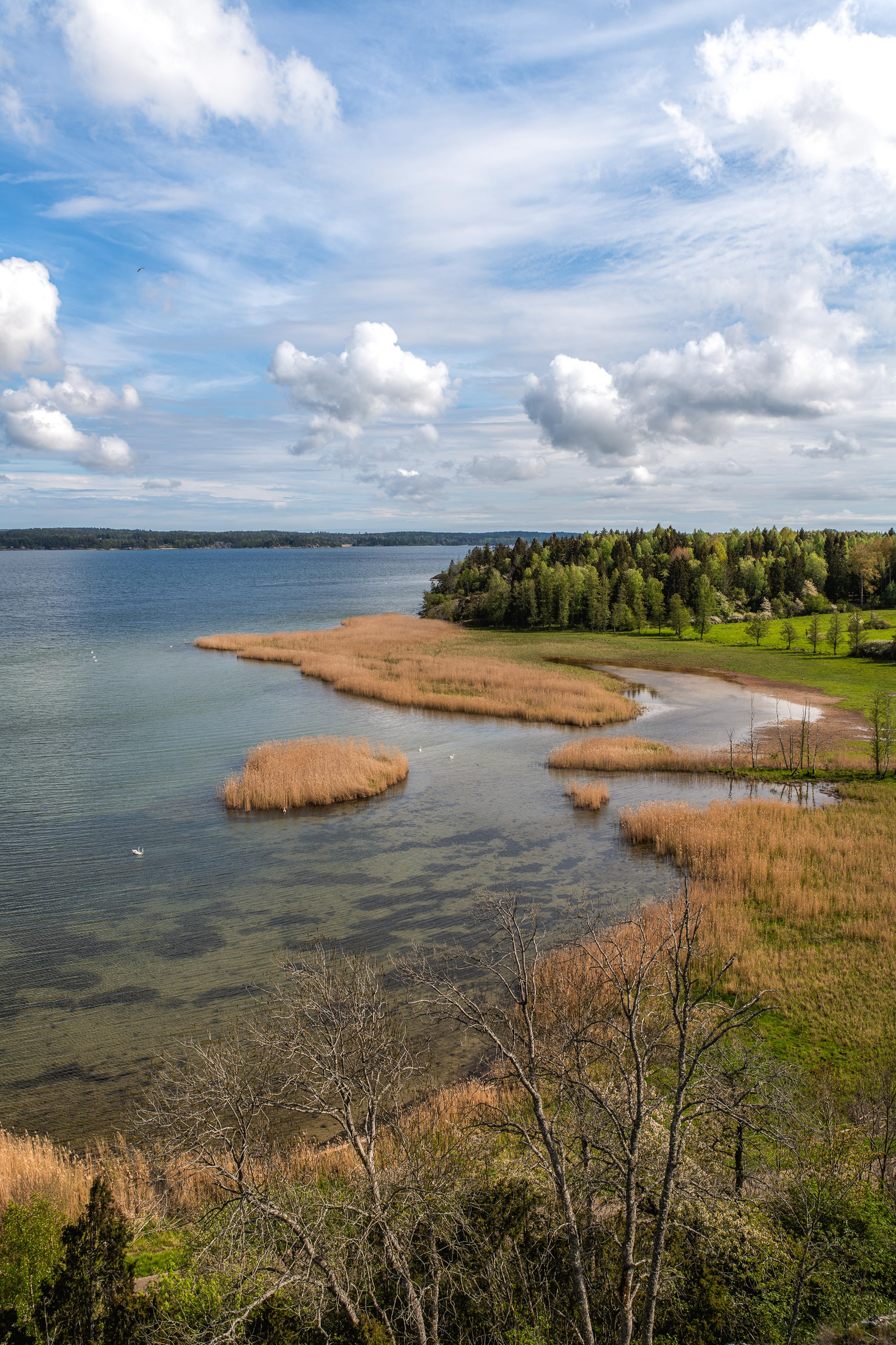Kalkbergets naturreservat