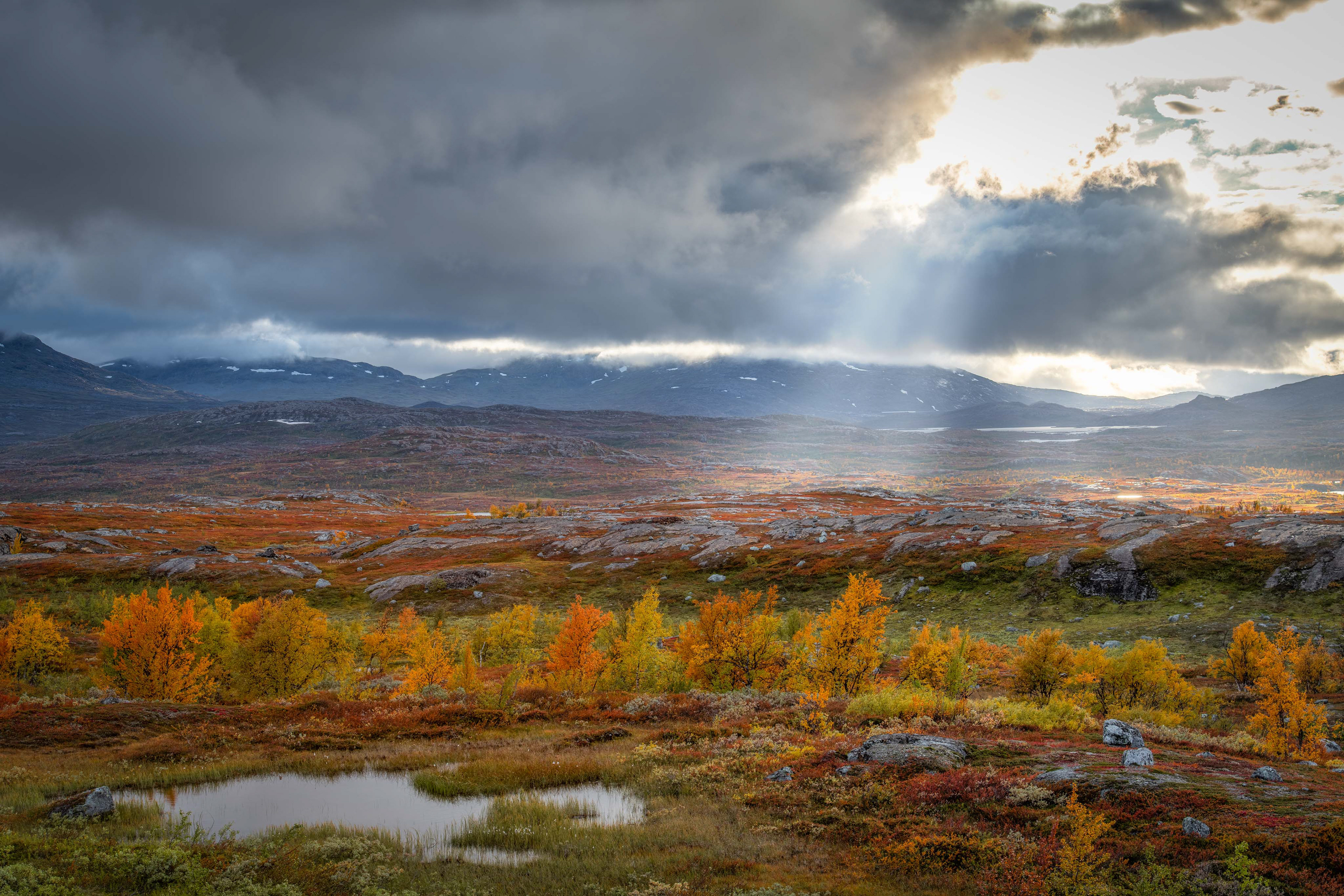 On the border between Sweden and Norway