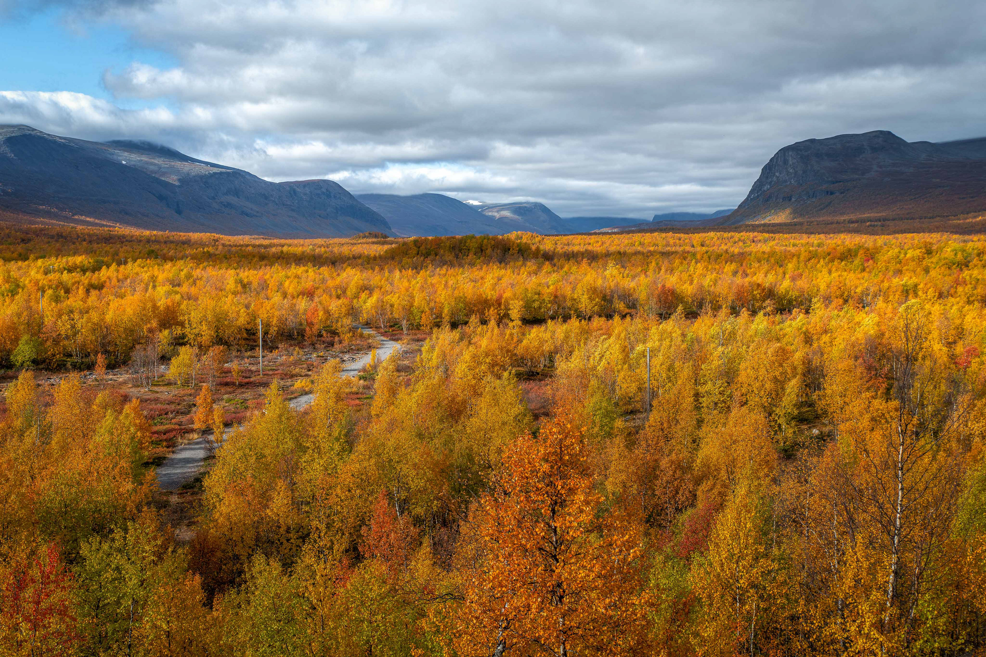 Nikkaluokta 1,5 weeks later