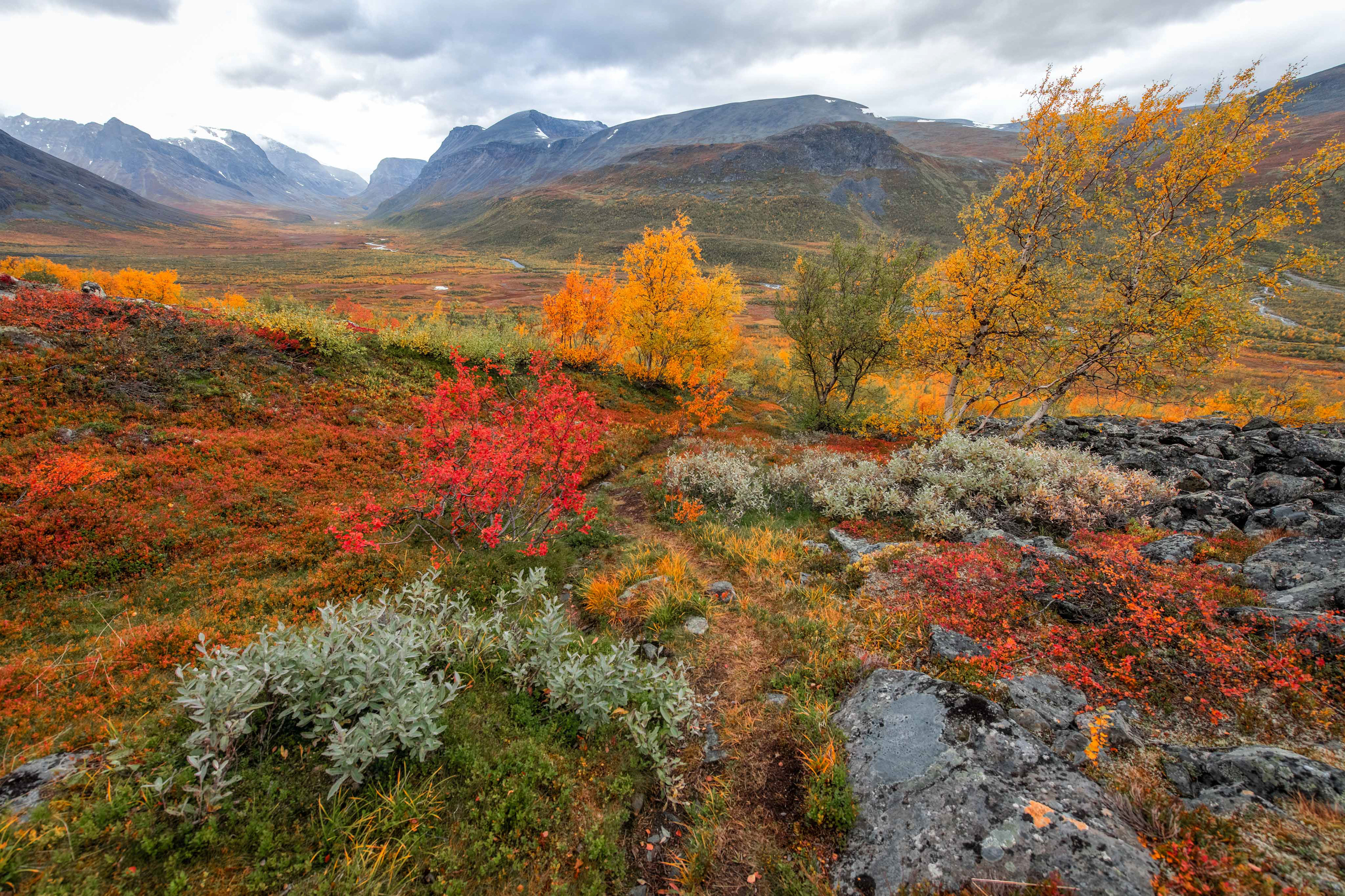 Path leading down to Vistasvagge