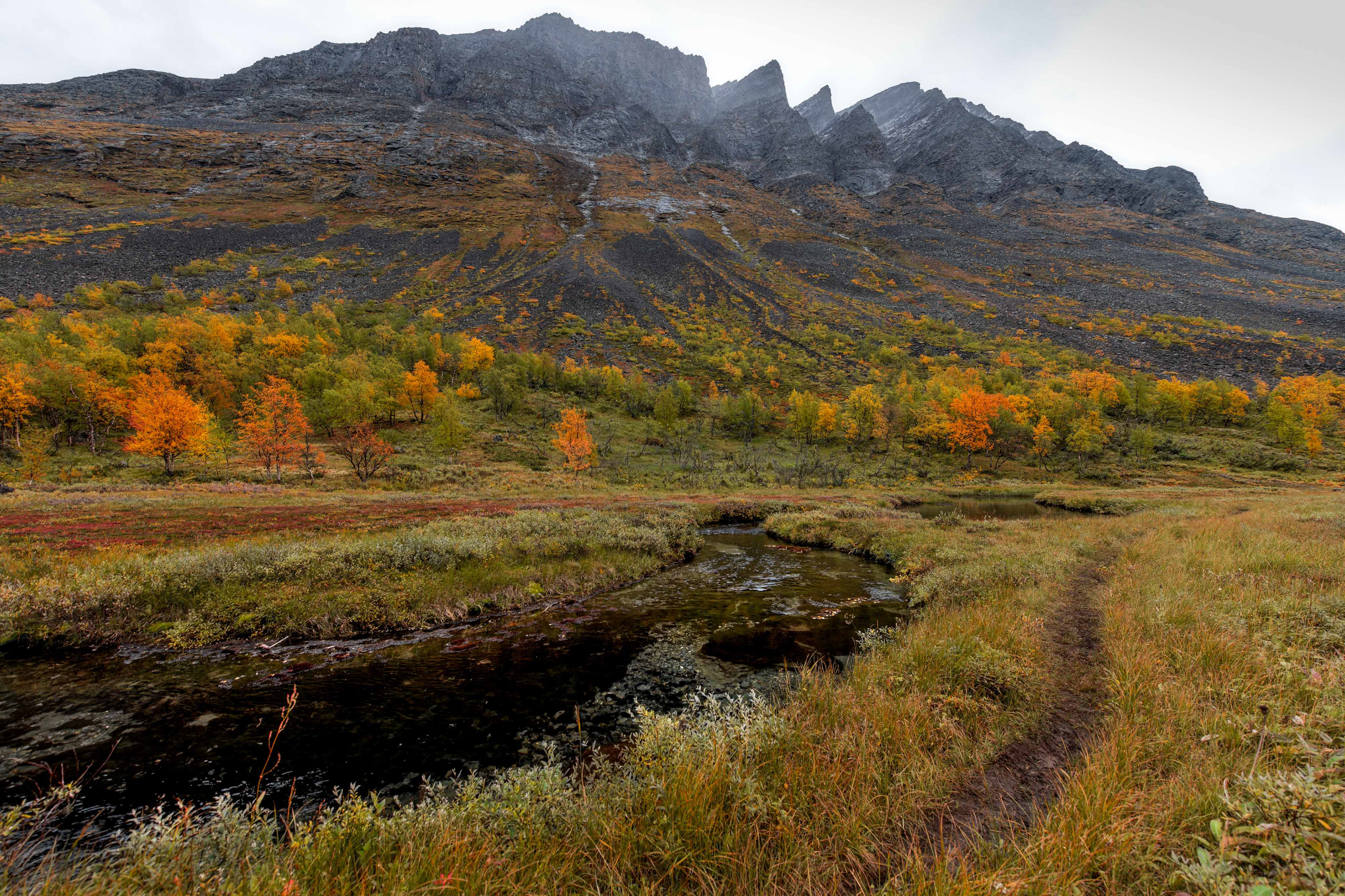 The trail leading through Vistasvagge