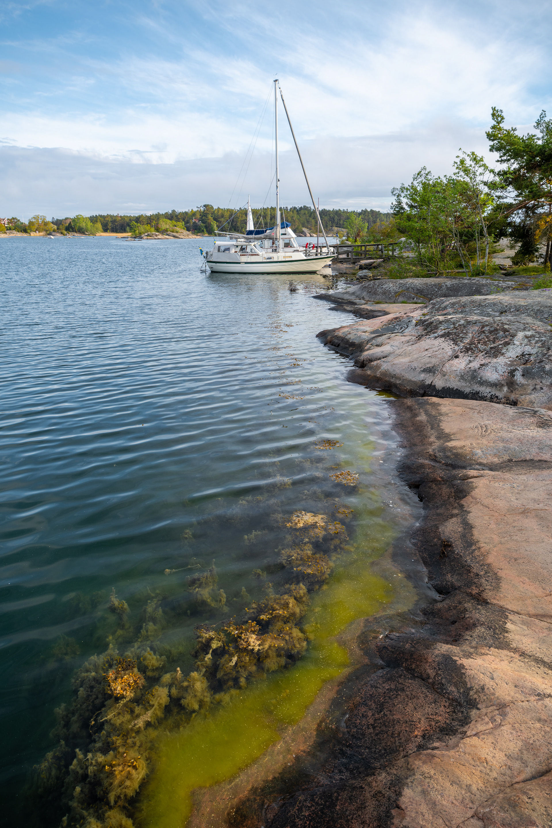 Stendörrens Naturreservat