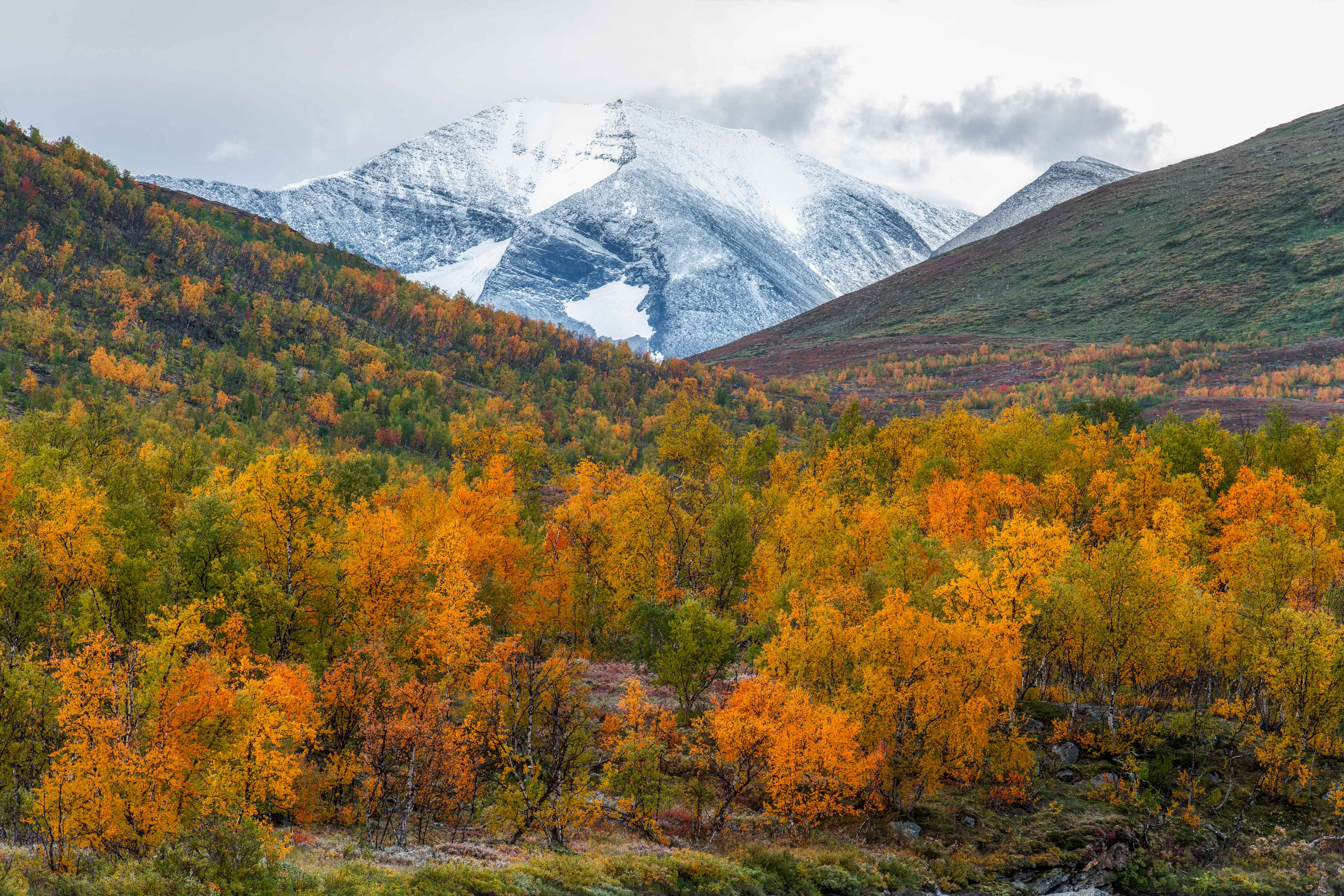 Early morning at Abiskojaure