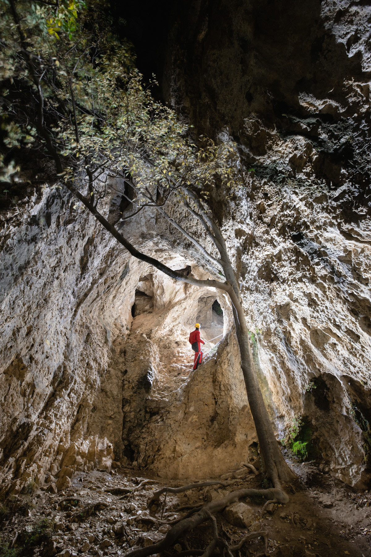 Secteur de la grotte, Alpilles.