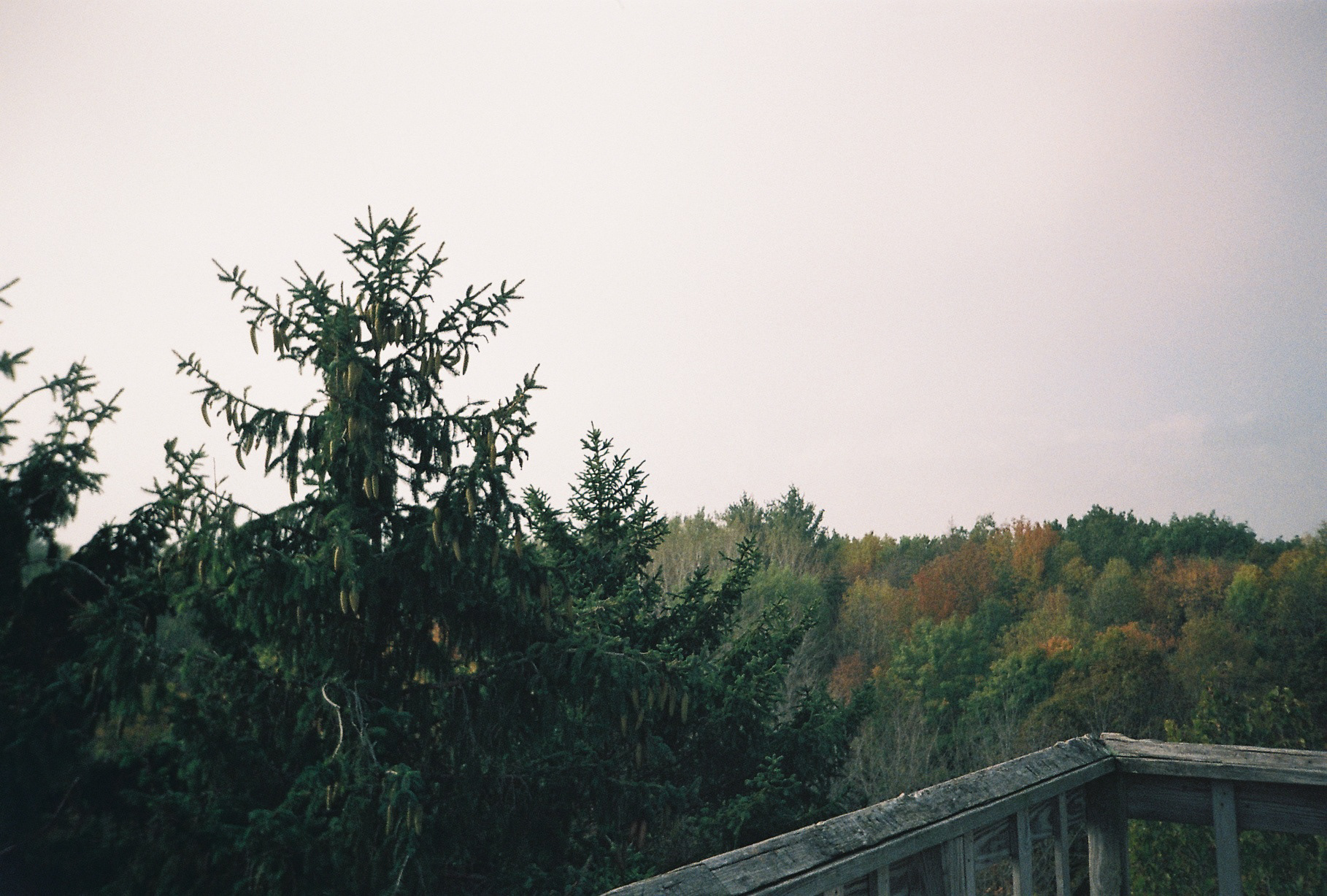 Milwaukee, WI | 35mm Film