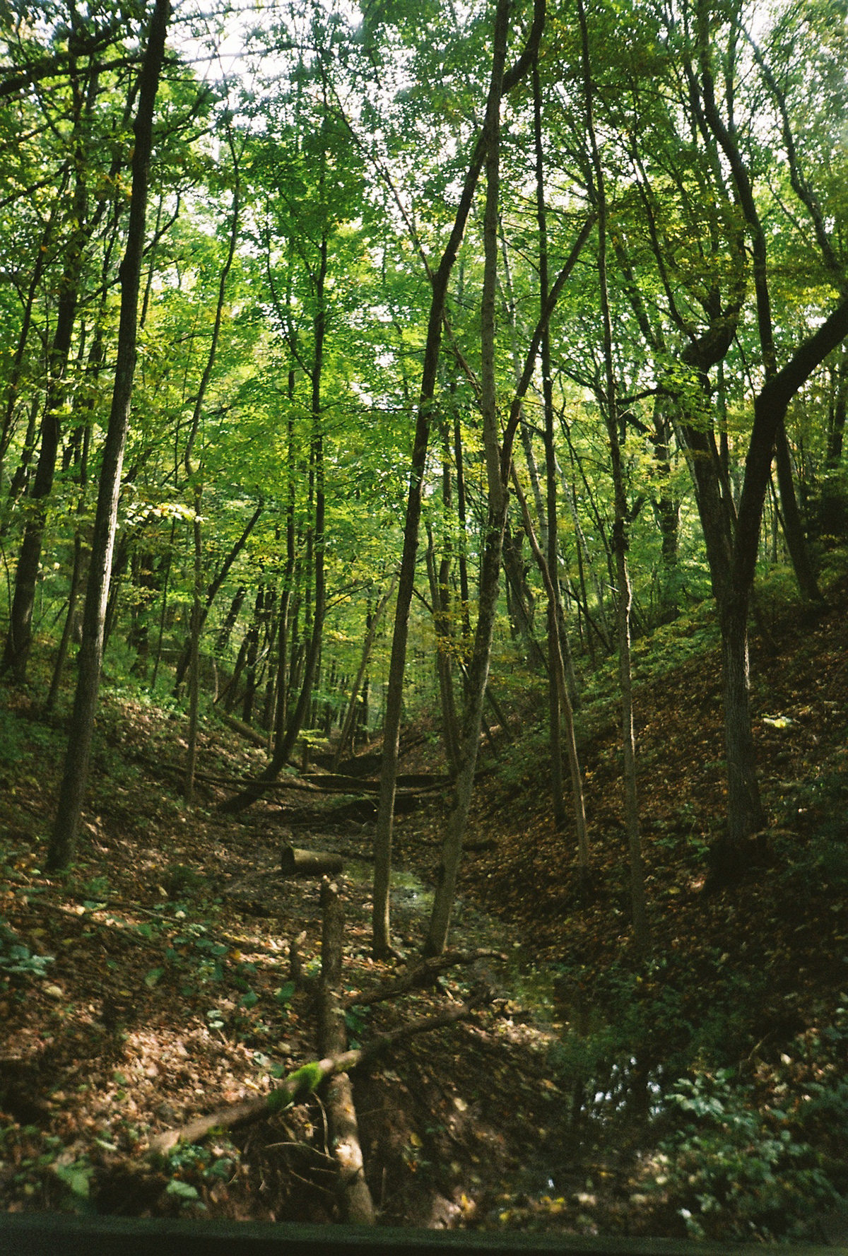 Milwaukee, WI | 35mm Film